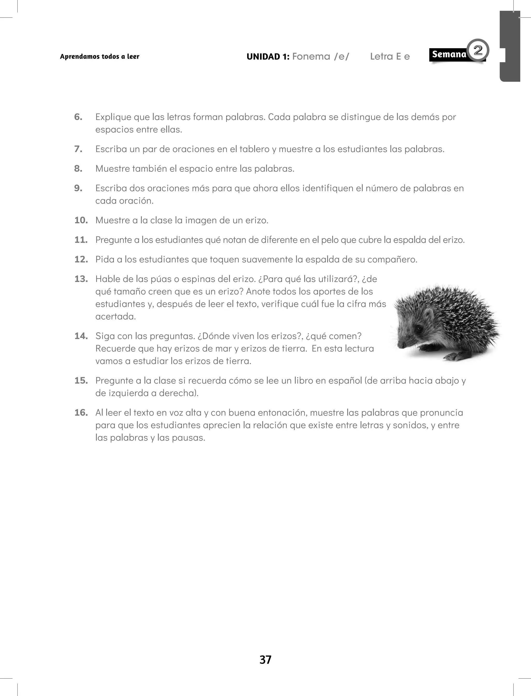 37
UNIDAD 1: Fonema /e/ Letra E e
Aprendamos todos a leer
6. Explique que las letras forman palabras. Cada palabra se distingue de las demás por
espacios entre ellas.
7. Escriba un par de oraciones en el tablero y muestre a los estudiantes las palabras.
8. Muestre también el espacio entre las palabras.
9. Escriba dos oraciones más para que ahora ellos identifiquen el número de palabras en
cada oración.
10. Muestre a la clase la imagen de un erizo.
11. Pregunte a los estudiantes qué notan de diferente en el pelo que cubre la espalda del erizo.
12. Pida a los estudiantes que toquen suavemente la espalda de su compañero.
13. Hable de las púas o espinas del erizo. ¿Para qué las utilizará?, ¿de
qué tamaño creen que es un erizo? Anote todos los aportes de los
estudiantes y, después de leer el texto, verifique cuál fue la cifra más
acertada.
14. Siga con las preguntas. ¿Dónde viven los erizos?, ¿qué comen?
Recuerde que hay erizos de mar y erizos de tierra. En esta lectura
vamos a estudiar los erizos de tierra.
15. Pregunte a la clase si recuerda cómo se lee un libro en español (de arriba hacia abajo y
de izquierda a derecha).
16. Al leer el texto en voz alta y con buena entonación, muestre las palabras que pronuncia
para que los estudiantes aprecien la relación que existe entre letras y sonidos, y entre
las palabras y las pausas.
 