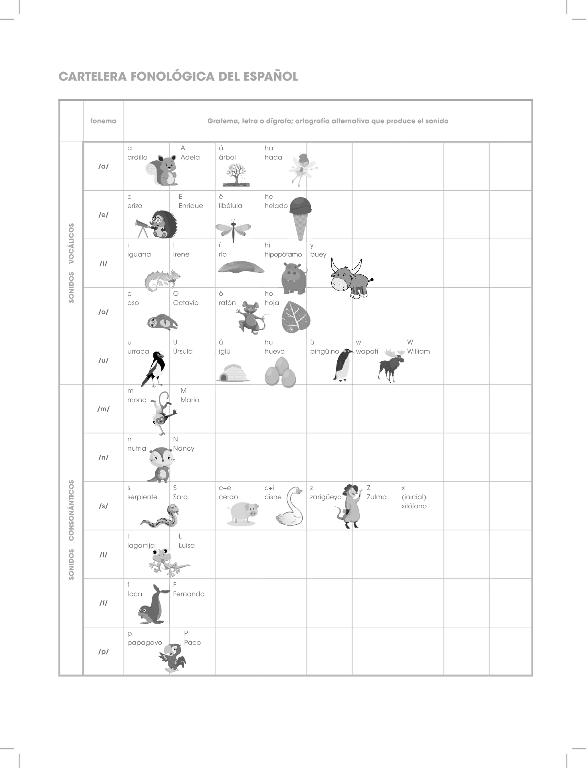 fonema Grafema, letra o dígrafo; ortografía alternativa que produce el sonido
SONIDOS
VOCÁLICOS
/a/
a
ardilla
A
Adela
á
árbol
ha
hada
/e/
e
erizo
E
Enrique
é
libélula
he
helado
/i/
i
iguana
I
Irene
í
río
hi
hipopótamo
y
buey
/o/
o
oso
O
Octavio
ó
ratón
ho
hoja
/u/
u
urraca
U
Úrsula
ú
iglú
hu
huevo
ü
pingüino
w
wapatí
W
William
SONIDOS
CONSONÁNTICOS
/m/
m
mono
M
Mario
/n/
n
nutria
N
Nancy
/s/
s
serpiente
S
Sara
c+e
cerdo
c+i
cisne
z
zarigüeya
Z
Zulma
x
(inicial)
xilófono
/l/
l
lagartija
L
Luisa
/f/
f
foca
F
Fernanda
/p/
p
papagayo
P
Paco
SONIDOS
CONSONÁNTICOS
/
/
/
/
/
/
co
nán
Díg
/c
/
/
Son
vibr
fue
/
Son
vibr
su
/
/
CARTELERA FONOLÓGICA DEL ESPAÑOL
 