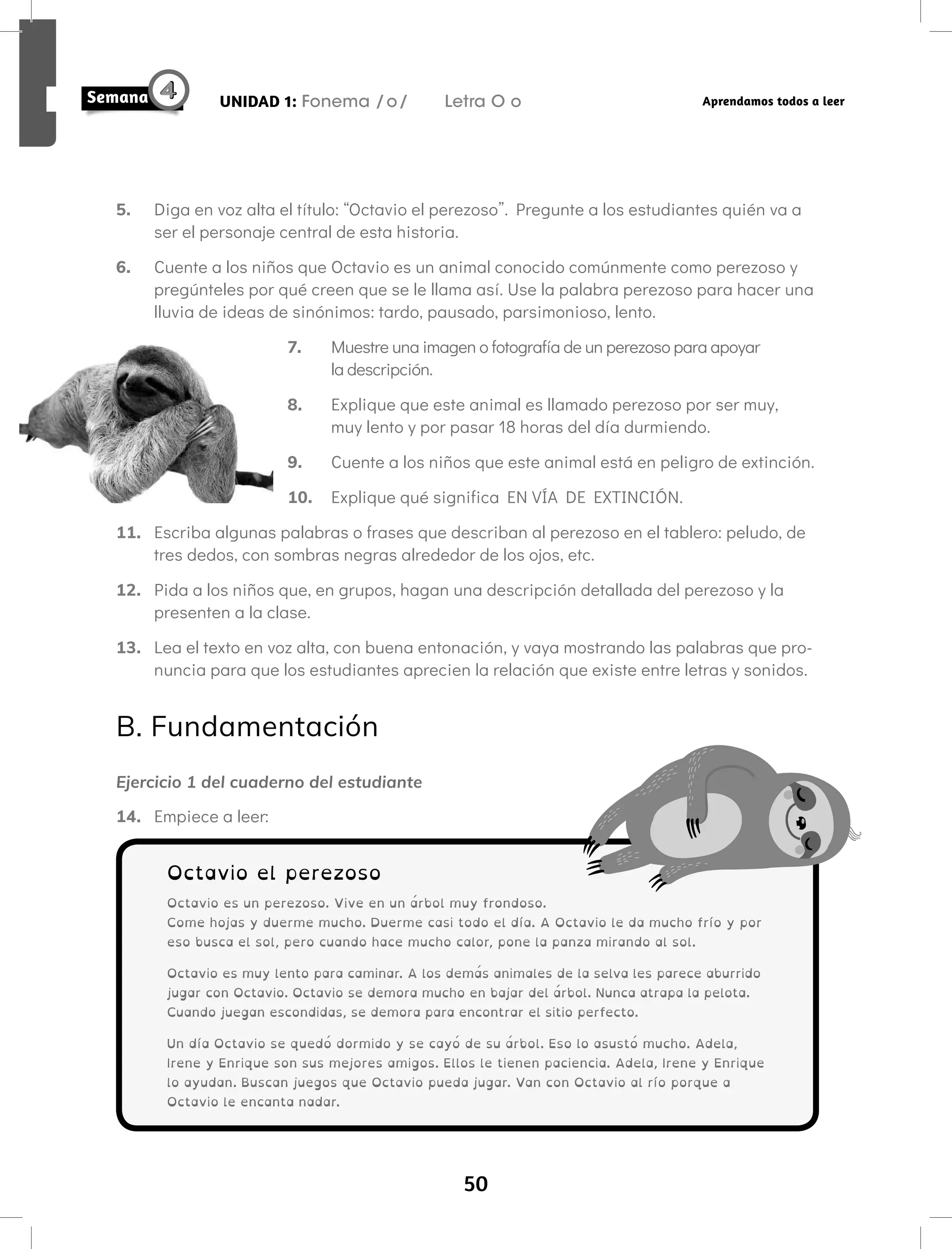 50
UNIDAD 1: Fonema /o/ Letra O o Aprendamos todos a leer
5. Diga en voz alta el título: “Octavio el perezoso”. Pregunte a los estudiantes quién va a
ser el personaje central de esta historia.
6. Cuente a los niños que Octavio es un animal conocido comúnmente como perezoso y
pregúnteles por qué creen que se le llama así. Use la palabra perezoso para hacer una
lluvia de ideas de sinónimos: tardo, pausado, parsimonioso, lento.
7. Muestre una imagen o fotografía de un perezoso para apoyar
la descripción.
8. Explique que este animal es llamado perezoso por ser muy,
muy lento y por pasar 18 horas del día durmiendo.
9. Cuente a los niños que este animal está en peligro de extinción.
10. Explique qué significa EN VÍA DE EXTINCIÓN.
11. Escriba algunas palabras o frases que describan al perezoso en el tablero: peludo, de
tres dedos, con sombras negras alrededor de los ojos, etc.
12. Pida a los niños que, en grupos, hagan una descripción detallada del perezoso y la
presenten a la clase.
13. Lea el texto en voz alta, con buena entonación, y vaya mostrando las palabras que pro-
nuncia para que los estudiantes aprecien la relación que existe entre letras y sonidos.
B. Fundamentación
Ejercicio 1 del cuaderno del estudiante
14. Empiece a leer:
Octavio el perezoso
Octavio es un perezoso. Vive en un árbol muy frondoso.
Come hojas y duerme mucho. Duerme casi todo el día. A Octavio le da mucho frío y por
eso busca el sol, pero cuando hace mucho calor, pone la panza mirando al sol.
Octavio es muy lento para caminar. A los demás animales de la selva les parece aburrido
jugar con Octavio. Octavio se demora mucho en bajar del árbol. Nunca atrapa la pelota.
Cuando juegan escondidas, se demora para encontrar el sitio perfecto.
Un día Octavio se quedó dormido y se cayó de su árbol. Eso lo asustó mucho. Adela,
Irene y Enrique son sus mejores amigos. Ellos le tienen paciencia. Adela, Irene y Enrique
lo ayudan. Buscan juegos que Octavio pueda jugar. Van con Octavio al río porque a
Octavio le encanta nadar.
 