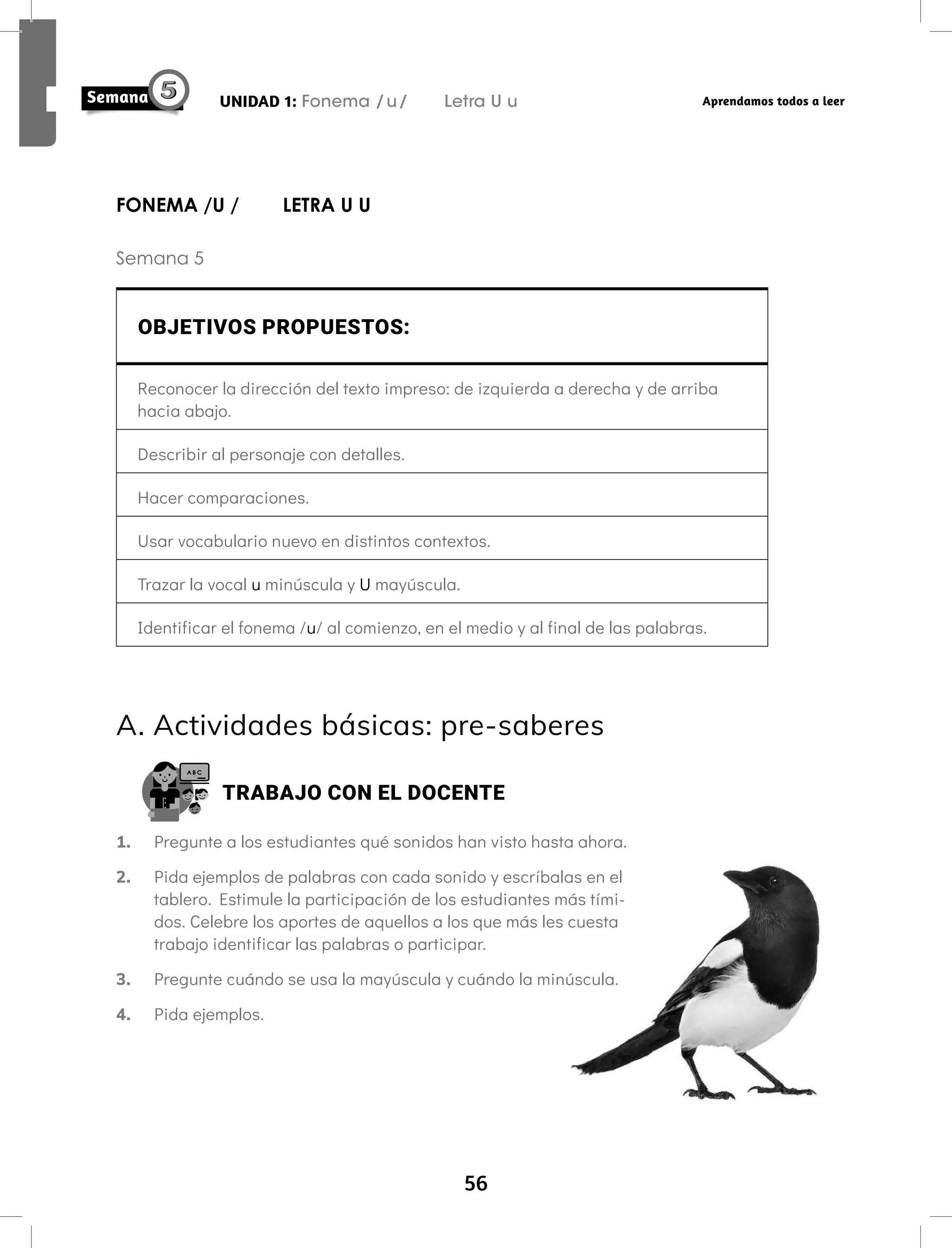 56
UNIDAD 1: Fonema /u/ Letra U u Aprendamos todos a leer
FONEMA /U / LETRA U U
Semana 5
OBJETIVOS PROPUESTOS:
Reconocer la dirección del texto impreso: de izquierda a derecha y de arriba
hacia abajo.
Describir al personaje con detalles.
Hacer comparaciones.
Usar vocabulario nuevo en distintos contextos.
Trazar la vocal u minúscula y U mayúscula.
Identificar el fonema /u/ al comienzo, en el medio y al final de las palabras.
A. Actividades básicas: pre-saberes
TRABAJO CON EL DOCENTE
1. Pregunte a los estudiantes qué sonidos han visto hasta ahora.
2. Pida ejemplos de palabras con cada sonido y escríbalas en el
tablero. Estimule la participación de los estudiantes más tími-
dos. Celebre los aportes de aquellos a los que más les cuesta
trabajo identificar las palabras o participar.
3. Pregunte cuándo se usa la mayúscula y cuándo la minúscula.
4. Pida ejemplos.
 