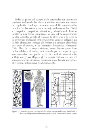112
Todas las partes del cuerpo están conectadas por una matriz
continua, incluyendo las células y núcleos, mediante un sistema
de regulación basal que mantiene una doble comunicación,
química (las hormonas y otros mensajeros dentro de las células)
y energética energéticas (eléctricas y electrónicas). Esto es
posible de una forma instantánea, es una red de comunicación
de alta velocidad debido al trasiego de electrones a lo largo de
las proteínas, moléculas semiconductoras, como el colágeno que
la más abundante, capaces de formar un circuito electrónico
por todo el cuerpo, y de mantener frecuencias vibratorias.
Cada fibra de la matriz viviente, tanto dentro como fuera
de las células y el núcleo, está rodeada por una capa de agua
«estructurada», que puede servir de canal de comunicación
y flujo energético. (Figura  5). La matriz viviente es una red
simultáneamente mecánica, vibratoria, u oscilatoria, energética,
electrónica e informativa (Oschman, 2008).
Figura 5. La matriz viviente es una red electrónica semiconductora. Detalle de la
fibra de colágeno (proteína semiconductora). Fuente: Oschman (2012).
 