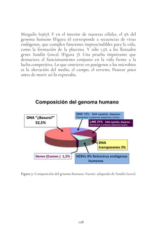 118
Margulis (1967). Y en el interior de nuestras células, el 9% del
genoma humano (Figura 6) corresponde a secuencias de virus
endógenos, que cumplen funciones imprescindibles para la vida,
como la formación de la placenta. Y sólo 1,5% a los llamados
genes Sandín (2002). (Figura  7). Una prueba importante que
demuestra el funcionamiento conjunto en la vida frente a la
lucha competitiva. Lo que convierte en patógenos a los microbios
es la alteración del medio, el campo, el terreno, Pasteur poco
antes de morir así lo expresaba.
Figura 7. Composición del genoma humano. Fuente: adaptado de Sandín (2001).
 