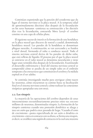 164
Continúan exponiendo que la porción del ectodermo que da
lugar al sistema nervioso es la placa neural. A la temprana edad
de aproximadamente diecisiete días después de la fecundación
en los seres humanos -comienza su construcción a los dieciséis
días tras la fecundación, concuerda Mora (2015)- el cerebro
consiste en una capa de células plana.
El siguiente suceso de interés es la formación de una hendidura
en la placa neural que discurre de rostral a caudal, denominada
hendidura neural. Las paredes de la hendidura se denominan
pliegues neurales. A continuación, se van acercando y se funden
a nivel dorsal, formando el tubo o conducto neural. Todo el
sistema nervioso central deriva de las paredes de dicho tubo,
que está relleno de líquido. El proceso por el que la placa neural
se convierte en el tubo neural se denomina neurulación y tiene
lugar unos veintidós días después de la fecundación. Examinando
el desarrollo embrionario y fetal del sistema nervioso central se
comprendió cómo se pasaba de un simple tubo en el embrión
temprano a las estructuras que constituirán el cerebro y la médula
espinal en el ser adulto.
Se continúa investigando mucho para averiguar cómo nacen
las neuronas, cómo encuentran su camino hasta su localización
final en el sistema nervioso central y cómo realizan las conexiones
sinápticas apropiadas una con otras.
2.2. Las sinapsis
La mayoría de las operaciones del cerebro dependen de unas
interconexiones extraordinariamente precisas entre sus 100.000
millones de neuronas, denominadas sinapsis. La formación de las
sinapsis comienza cuando una protusión dendrítica se alarga y
toca un axón que podría estar pasando de largo. “Cuando el cono
de crecimiento –punta especializada de un axón o dendrita en
crecimiento-entraencontactoconsudiana,seformaunasinapsis,
es decir, se establece una región de contacto en la cual una neurona
 