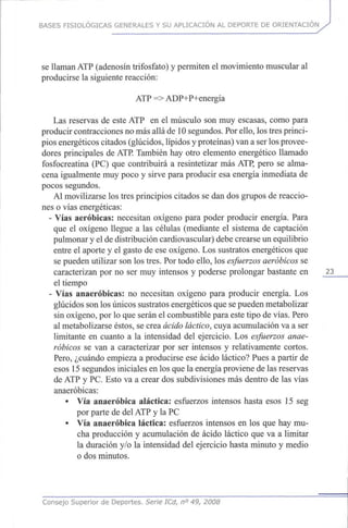BASES FISIOLÓGICAS GENERALES Y SU APLICACIÓN AL DEPORTE DE ORIENTACIÓN
se llaman ATP (adenosín trifosfato) y permiten el movimiento muscular al
producirse la siguiente reacción:
ATP =>ADP+P+energía
Las reservas de este ATP en el músculo son muyescasas, como para
producir contracciones nomás allá de 10segundos. Porello, lostres princi-
pios energéticos citados (glúcidos, lípidos yproteínas) vana serlosprovee-
dores principales deATP. También hay otro elemento energético llamado
fosfocreatina (PC) que contribuirá a resintetizar másATP, pero se alma-
cena igualmente muypoco y sirve para producir esa energía inmediata de
pocos segundos.
Al movilizarse lostres principios citados se dandosgrupos dereaccio-
nes o vías energéticas:
- Vías aeróbicas: necesitan oxígeno para poder producir energía. Para
que el oxígeno llegue a las células (mediante el sistema de captación
pulmonar y el dedistribución cardiovascular) debe crearse un equilibrio
entre el aporte y el gasto de eseoxígeno. Lossustratos energéticos que
se pueden utilizar sonlostres. Portodo ello, losesfuerzos aeróbicos se
caracterizan por no ser muy intensos y poderse prolongar bastante en 23
el tiempo
- Vías anaeróbicas: no necesitan oxígeno para producir energía. Los
glúcidos sonlosúnicos sustratos energéticos quesepueden metabolizar
sin oxígeno, porlo queserán el combustible para este tipo devías. Pero
al metabolizarse éstos, se crea ácido láctico, cuya acumulación vaaser
limitante en cuanto a la intensidad del ejercicio. Los esfuerzos anae-
róbicos se van a caracterizar por ser intensos y relativamente cortos.
Pero, ¿cuándo empieza a producirse ese ácido láctico? Pues a partir de
esos 15segundos iniciales enlosquelaenergía proviene delasreservas
de ATP y PC.Esto va a crear dos subdivisiones másdentro de las vías
anaeróbicas:
• Vía anaeróbica atáctica: esfuerzos intensos hasta esos 15seg
por parte de delATP y laPC
• Vía anaeróbica láctica: esfuerzos intensos en los que hay mu-
cha producción y acumulación de ácido láctico queva a limitar
la duración y/o la intensidad del ejercicio hasta minuto y medio
o dosminutos.
Consejo Superior de Deportes. Serie ICd, n° 49, 2008
 
