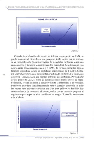 BASES FISIOLÓGICAS GENERALES Y SU APLICACIÓN AL DEPORTE DE ORIENTACIÓN
CURVA DEL LACTATO
Tiempo de ejercicio
Gráfico2
Cuando la producción de lactato es inferior a ese punto de UaN, se
puede mantener el ritmo de carrera porque el ácido láctico que se produce
se va metabolizando (las mitocondrias de las células cardíacas lo utilizan
como energía y también lo resintetizan los músculos). Se estima que esto
ocurre entre concentraciones de 2 y 4 mM/1, de forma general (en reposo
también se produce lactato en cantidades aproximadas de 1mM/1). Se lla-
28 ma umbral aeróbico a ese límite inferior estimado en 2 mM/1 y transición
aeróbica - anaeróbica a ese margen entre los dos umbrales. Pero a partir
de ese punto de UaN, el ritmo de acumulación es mayor que el de meta-
bolización, lo que acidifica la sangre y limita la intensidad o el ejercicio.
Pues bien, esto tiene tanta importancia para el corredor porque le va a dar
las pautas para entrenar y mejorar ese UaN (ver gráfico 3). También hay
entrenamientos de tolerancia al lactato, en los que se pretende preparar al
organismo para soportar altas cantidades en sangre. Todo ello lo veremos
más adelante.
-No entrenados
- Entrenados
Tiempo de ejercicio
Gráfico 3
Consejo Superior de Deportes. Serie ICd, n° 49, 2008
 