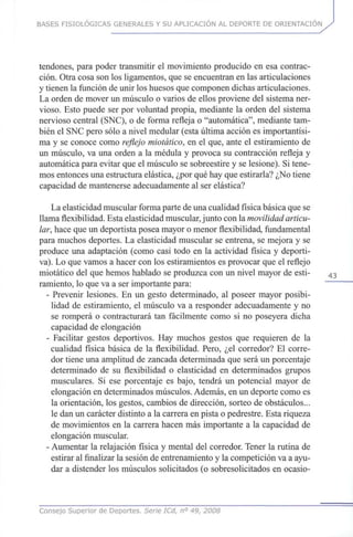 BASES FISIOLÓGICAS GENERALES Y SU APLICACIÓN AL DEPORTE DE ORIENTACIÓN
tendones, para poder transmitir el movimiento producido en esa contrac-
ción. Otra cosa sonlosligamentos, quese encuentran en las articulaciones
y tienen la función deunir loshuesos quecomponen dichas articulaciones.
La orden de mover un músculo o varios de ellos proviene del sistemaner-
vioso. Esto puede serpor voluntad propia, mediante la orden del sistema
nervioso central (SNC), o de forma refleja o "automática", mediantetam-
bién el SNCpero sólo a nivel medular (esta última acción es importantísi-
ma y se conoce como reflejo miotático, en el que,ante el estiramiento de
un músculo, va una orden a la médula y provoca su contracción refleja y
automática para evitar queel músculo se sobreestire y se lesione). Sitene-
mos entonces unaestructura elástica, ¿por quéhayqueestirarla? ¿Notiene
capacidad de mantenerse adecuadamente al ser elástica?
La elasticidad muscular forma parte deunacualidad física básica que se
llama flexibilidad. Esta elasticidad muscular, junto conlamovilidad articu-
lar, hace queun deportista posea mayor o menor flexibilidad, fundamental
para muchos deportes. La elasticidad muscular se entrena, se mejora y se
produce una adaptación (como casi todo en la actividad física y deporti-
va). Loquevamos a hacer conlos estiramientos esprovocar queel reflejo
miotático del quehemos hablado se produzca conun nivel mayor de esti- 4 3
ramiento, lo queva a ser importante para:
- Prevenir lesiones. En un gesto determinado, al poseer mayor posibi-
lidad de estiramiento, el músculo va a responder adecuadamente y no
se romperá o contracturará tan fácilmente como si no poseyera dicha
capacidad de elongación
- Facilitar gestos deportivos. Hay muchos gestos que requieren de la
cualidad física básica de la flexibilidad. Pero, ¿el corredor? El corre-
dor tiene unaamplitud de zancada determinada que será un porcentaje
determinado de su flexibilidad o elasticidad en determinados grupos
musculares. Si ese porcentaje es bajo, tendrá un potencial mayor de
elongación endeterminados músculos. Además, enun deporte como es
la orientación, los gestos, cambios de dirección, sorteo de obstáculos...
le danun carácter distinto a la carrera enpista o pedrestre. Esta riqueza
de movimientos en la carrera hacen más importante a la capacidad de
elongación muscular.
- Aumentar la relajación física y mental del corredor. Tener la rutina de
estirar al finalizar la sesión deentrenamiento y la competición vaa ayu-
dar a distender los músculos solicitados (o sobresolicitados en ocasio-
Consejo Superior de Deportes. Serie ICd, n° 49, 2008
 