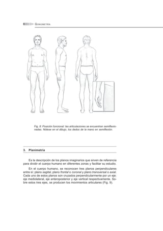 GONIOMETRÍA6
Fig. 8: Posición funcional: las articulaciones se encuentran semiflexio-
nadas. Nótese en el dibujo, los dedos de la mano en semiflexión.
3. Planimetría
Es la descripción de los planos imaginarios que sirven de referencia
para dividir el cuerpo humano en diferentes zonas y facilitar su estudio.
En el cuerpo humano, se reconocen tres planos perpendiculares
entre sí: plano sagital, plano frontal o coronal y plano transversal o axial.
Cada uno de estos planos son cruzados perpendicularmente por un eje:
eje mediolateral, eje anteroposterior y eje vertical respectivamente. So-
bre estos tres ejes, se producen los movimientos articulares (Fig. 9).
 