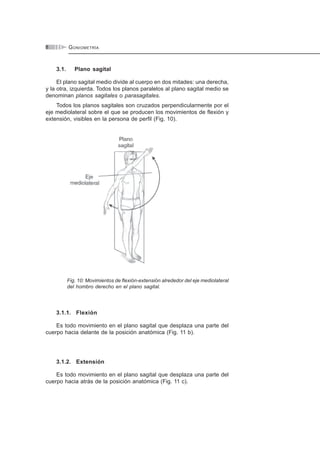 GONIOMETRÍA8
3.1. Plano sagital
El plano sagital medio divide al cuerpo en dos mitades: una derecha,
y la otra, izquierda. Todos los planos paralelos al plano sagital medio se
denominan planos sagitales o parasagitales.
Todos los planos sagitales son cruzados perpendicularmente por el
eje mediolateral sobre el que se producen los movimientos de flexión y
extensión, visibles en la persona de perfil (Fig. 10).
Fig. 10: Movimientos de flexión-extensión alrededor del eje mediolateral
del hombro derecho en el plano sagital.
3.1.1. Flexión
Es todo movimiento en el plano sagital que desplaza una parte del
cuerpo hacia delante de la posición anatómica (Fig. 11 b).
3.1.2. Extensión
Es todo movimiento en el plano sagital que desplaza una parte del
cuerpo hacia atrás de la posición anatómica (Fig. 11 c).
 