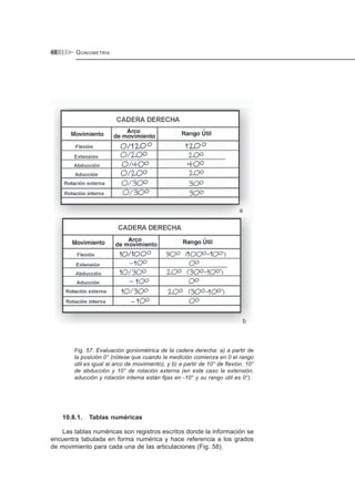 GONIOMETRÍA48
Fig. 57: Evaluación goniométrica de la cadera derecha: a) a partir de
la posición 0° (nótese que cuando la medición comienza en 0 el rango
útil es igual al arco de movimiento), y b) a partir de 10° de flexión, 10°
de abducción y 10° de rotación externa (en este caso la extensión,
aducción y rotación interna están fijas en -10° y su rango útil es 0°).
10.8.1. Tablas numéricas
Las tablas numéricas son registros escritos donde la información se
encuentra tabulada en forma numérica y hace referencia a los grados
de movimiento para cada una de las articulaciones (Fig. 58).
 
