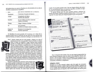 Libro   los 7 habitos de los adolecentes