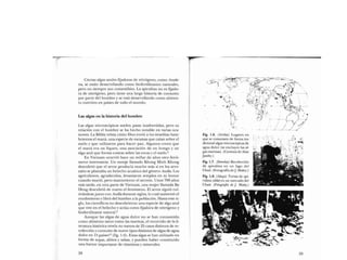 Libro   Microalga spirulina de Robert Henrikson