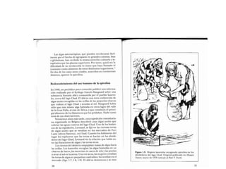 Libro   Microalga spirulina de Robert Henrikson