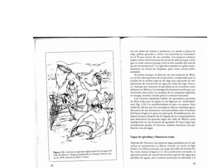 Libro   Microalga spirulina de Robert Henrikson