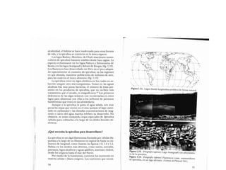 Libro   Microalga spirulina de Robert Henrikson