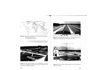 Libro   Microalga spirulina de Robert Henrikson