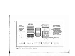 Libro   Microalga spirulina de Robert Henrikson