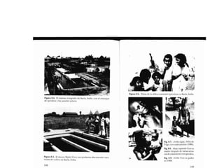 Libro   Microalga spirulina de Robert Henrikson