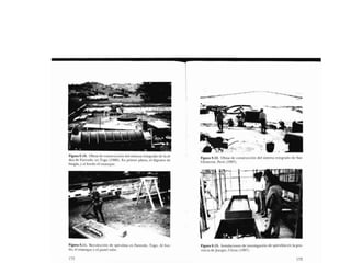 Libro   Microalga spirulina de Robert Henrikson