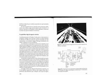 Libro   Microalga spirulina de Robert Henrikson