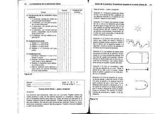 T


64 - - - - - - - la educación fisica
La enseñanza de
---

Hoja de tareas -

Feedback del

Fechas

profesor

Tareas

articulaciones flexionadas).
3.5 volteretas, con ambas piernas
rectas y juntas.
4. 5 volteretas, con ambas piernas
rectas y separadas; una se mueve
antes que la otra.
6. 5 volteretas, con las rodillas en án­
gulo de 90°

Estación nº 3: Coloca tres pelotas en la
marca roja. Dribla los conos y empuja o
golpea la pelola hacia la portería. Vuelve y
haz lo mismo con la siguiente pelota, y la
siguiente. Vuelve a colocar las pelotas en
la marca para la siguiente persona.
.

B. Vollerela hacia alrás.

7. Repetir n'l 1 hacia atrás.
8. Repetir nº 2 hacia atrás.
9. Repetir n' 4 hacia atrás.

10. Repetir nº 4 y terminar con pies
juntos.

L

llilL~

Estación nº 5: Con un compañero, cada
uno de pie delante de un cono. Pasar la
pelota de un lado a otro 15 veces. Debes
parar la pelota y pasarla con el stick gira­
do (con el reverso).

Figura 3.8

I

Nombre
Clase
Fecha

_
_
Hockey sobre hierba -

0°0 °

o

o

00-<,.._,

Estilo A

®

"1

C

O

Ficha de tareas nº _ _

',,1

-:'j

pase y recepción

Al alumno:
Hoy tenemos seis estaciones, cada una con una tarea. Puedes realizar las
cuatro primeras tú solo; las dos últimas requieren un compañero. Debes utili­
zar un compañero distinto para cada una. Todas las tareas son del estilo B. El
material necesario está en cada estación. Puedes realizar las tareas en el or­
den que prefieras. No más de cuatro personas por estación. Estaré a tu dispo­
sición para responder cualquier tipo de pregunta. También ofreceré feedback
a cada uno de vosotros.

~'

Estación nº 6: Uno de vosotros (X), se po­
ne de pie detrás y entre los conos. El otro
(O) tiene la pelota y la empuja hacia la
parte exterior de uno u otro cono. X se
desplaza para pararla y devolverla a O, y
se vuelve a colocar en el medio al tiempo
que O recibe y empuja de nuevo la pelota
hacia un extremo. Se realiza 10 veces.
Cambio de posiciones y repetir. O no se
desplaza.

,

¡FigUra 3.9

j1i

_,

~: ;61
"

-

(6

,

_

1

.!

]

,

IAT'A/

U)
I U /


,-

Es/ación nº 4: Las pelotas (8) deben estar
alineadas enfrente de la porteria. Empe­
zando en la marca golpea las pelotas una
tras otra tan rápido como puedas. Recuer­
da que no debes balancear el slick por en­
cima de los hombros. Las manos deben
estar juntas en la parte superior del stick.

C. Combinaciones.
1. Combinar voltereta nº 2 con nº 9.
Repetir 3 veces.
2. Realizar voltereta hacia adelante,
hacia atrás y hacia adelante.
3. Realizar 2 volteretas hacia adelan-

,

pase y recepción.

Estación nº 2: Coloca seis pelotas alrede­
dor de un aro a una distancia aproximada
de éste igual al largo del stick. De una en
·una, golpea las pelotas elevándolas y co­
lóca!as dentro del aro. Vuelve a colocar
las pelotas como estaban inicialmente, pe­
ro esta vez corre hacia ellas y trata de ele­
varlas y meterlas en el aro,

2. 5 volteretas, con una pierna estira­
da y la otra flexionada.

!

65

Estación nº 1: Empuja la pelota por delan­
te tuyo, corre detrás de ella, y golpéala ha­
cia adelante estando tú y la pelota en mo­
vimiento. Repetirlo cinco veces.

A. Variaciones de la vollerela hacia
adelanle.
1. 5 volteretas compactas (todas las

te y 2 hacia atrás.
4. Alternar voltereta hacia adelante y
hacia atrás con piernas estiradas
(2 hacia cada sentido).

Estilo de la práctica. Enseñanza basada en la tarea (Estilo B)

"'-"

>--O

°
°
°
°
°
°
°
o

j

~.-_-----------~

x-----ú- ,
/',

,

o~
I

 
