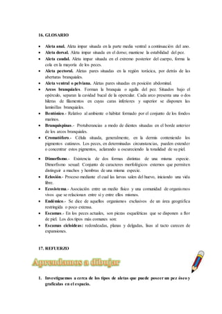 16. GLOSARIO
 Aleta anal. Aleta impar situada en la parte media ventral a continuación del ano.
 Aleta dorsal. Aleta impar situada en el dorso; mantiene la estabilidad del pez.
 Aleta caudal. Aleta impar situada en el extremo posterior del cuerpo, forma la
cola en la mayoría de los peces.
 Aleta pectoral. Aletas pares situadas en la región torácica, por detrás de las
aberturas branquiales.
 Aleta ventral o pelviana. Aletas pares situadas en posición abdominal.
 Arcos branquiales. Forman la branquia o agalla del pez. Situados bajo el
opérculo, separan la cavidad bucal de la opercular. Cada arco presenta una o dos
hileras de filamentos en cuyas caras inferiores y superior se disponen las
laminillas branquiales.
 Bentónico.- Relativo al ambiente o hábitat formado por el conjunto de los fondos
marinos.
 Branquispinas.- Protuberancias a modo de dientes situadas en el borde anterior
de los arcos branquiales.
 Cromatóforo.- Célula situada, generalmente, en la dermis conteniendo los
pigmentos cutáneos. Los peces, en determinadas circunstancias, pueden extender
o concentrar estos pigmentos, aclarando u oscureciendo la tonalidad de su piel.
 Dimorfismo.- Existencia de dos formas distintas de una misma especie.
Dimorfismo sexual: Conjunto de caracteres morfológicos externos que permiten
distinguir a machos y hembras de una misma especie.
 Eclosión.- Proceso mediante el cual las larvas salen del huevo, iniciando una vida
libre.
 Ecosistema.- Asociación entre un medio físico y una comunidad de organismos
vivos que se relacionan entre sí y entre ellos mismos.
 Endémico.- Se dice de aquellos organismos exclusivos de un área geográfica
restringida o poco extensa.
 Escamas.- En los peces actuales, son piezas esqueléticas que se disponen a flor
de piel. Los dos tipos más comunes son:
 Escamas cicloideas: redondeadas, planas y delgadas, lisas al tacto carecen de
expansiones.
17. REFUERZO
1. Investiguemos a cerca de los tipos de aletas que puede poseer un pez óseo y
grafícalas en el espacio.
 