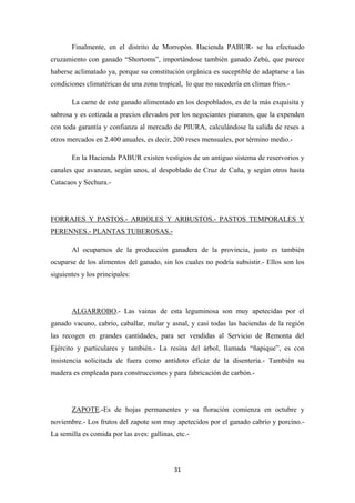 31
Finalmente, en el distrito de Morropón. Hacienda PABUR- se ha efectuado
cruzamiento con ganado “Shortoms”, importándose también ganado Zebú, que parece
haberse aclimatado ya, porque su constitución orgánica es suceptible de adaptarse a las
condiciones climatéricas de una zona tropical, lo que no sucedería en climas fríos.-
La carne de este ganado alimentado en los despoblados, es de la más exquisita y
sabrosa y es cotizada a precios elevados por los negociantes piuranos, que la expenden
con toda garantía y confianza al mercado de PIURA, calculándose la salida de reses a
otros mercados en 2.400 anuales, es decir, 200 reses mensuales, por término medio.-
En la Hacienda PABUR existen vestigios de un antiguo sistema de reservorios y
canales que avanzan, según unos, al despoblado de Cruz de Caña, y según otros hasta
Catacaos y Sechura.-
Al ocuparnos de la producción ganadera de la provincia, justo es también
ocuparse de los alimentos del ganado, sin los cuales no podría subsistir.- Ellos son los
siguientes y los principales:
FORRAJES Y PASTOS.- ARBOLES Y ARBUSTOS.- PASTOS TEMPORALES Y
PERENNES.- PLANTAS TUBEROSAS.-
ALGARROBO.- Las vainas de esta leguminosa son muy apetecidas por el
ganado vacuno, cabrío, caballar, mular y asnal, y casi todas las haciendas de la región
las recogen en grandes cantidades, para ser vendidas al Servicio de Remonta del
Ejército y particulares y también.- La resina del árbol, llamada “ñapique”, es con
insistencia solicitada de fuera como antídoto eficáz de la disentería.- También su
madera es empleada para construcciones y para fabricación de carbón.-
ZAPOTE.-Es de hojas permanentes y su floración comienza en octubre y
noviembre.- Los frutos del zapote son muy apetecidos por el ganado cabrío y porcino.-
La semilla es comida por las aves: gallinas, etc.-
 