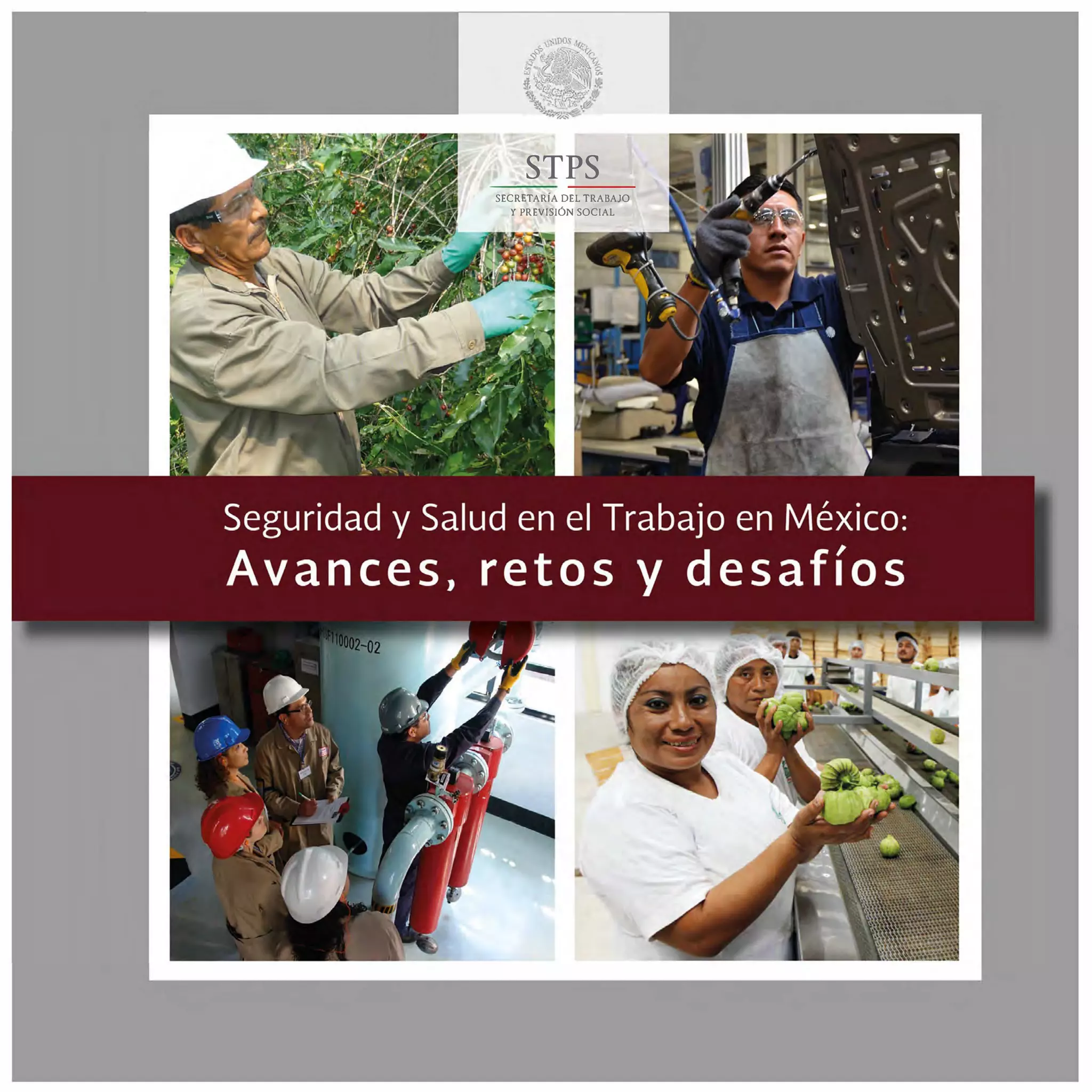 STPS
SECRETARÍA DEL TRABAJO
Y PREVISIÓN SOCIAL
 