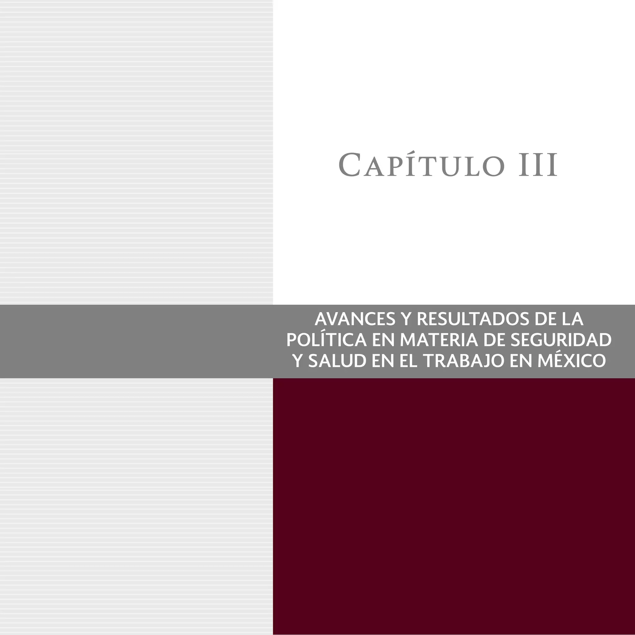 Capítulo III
AVANCES Y RESULTADOS DE LA
POLÍTICA EN MATERIA DE SEGURIDAD
Y SALUD EN EL TRABAJO EN MÉXICO
 