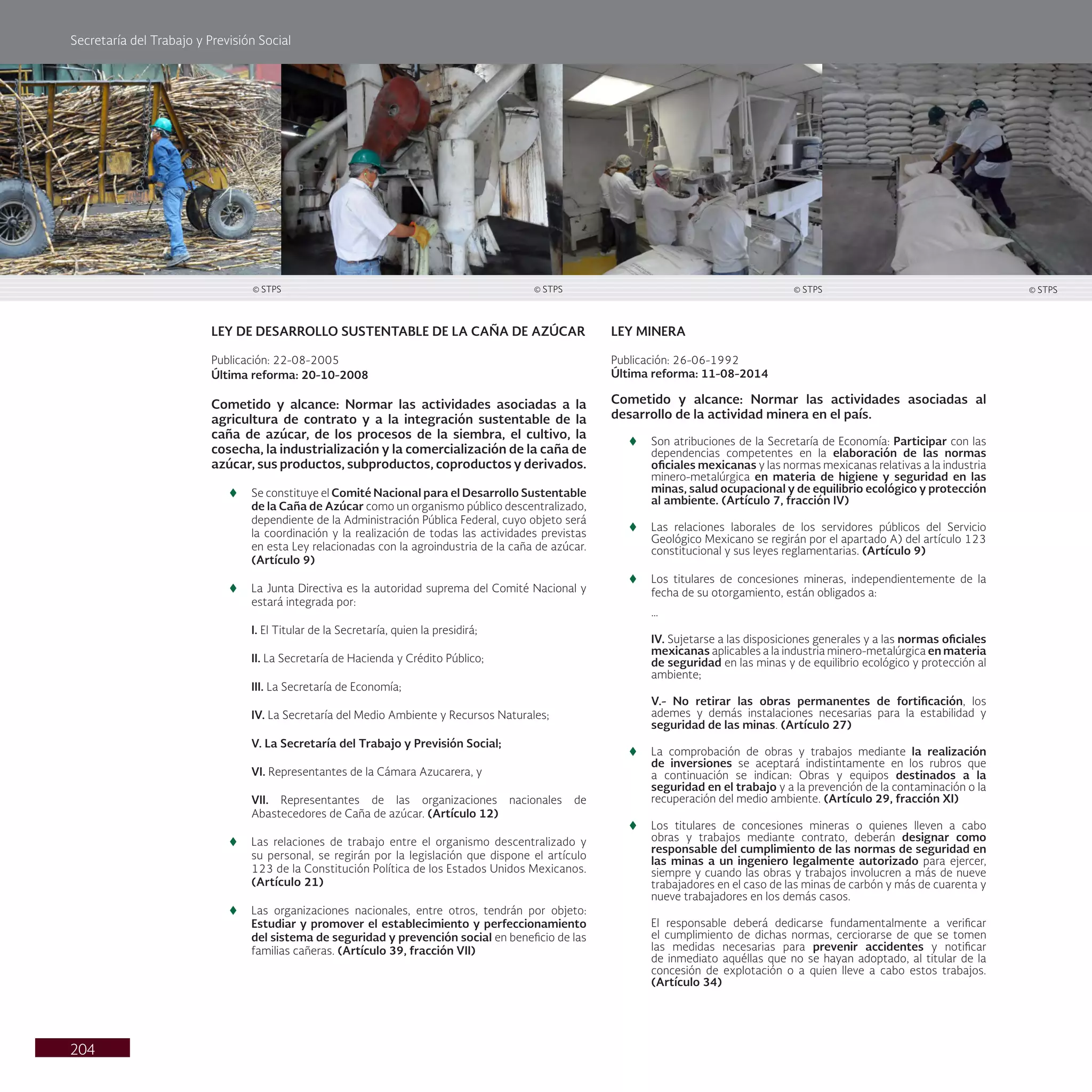 Secretaría del Trabajo y Previsión Social
204
LEY DE DESARROLLO SUSTENTABLE DE LA CAÑA DE AZÚCAR
Publicación: 22-08-2005
Última reforma: 20-10-2008
Cometido y alcance: Normar las actividades asociadas a la
agricultura de contrato y a la integración sustentable de la
caña de azúcar, de los procesos de la siembra, el cultivo, la
cosecha, la industrialización y la comercialización de la caña de
azúcar, sus productos, subproductos, coproductos y derivados.
t
t Se constituye el Comité Nacional para el Desarrollo Sustentable
de la Caña de Azúcar como un organismo público descentralizado,
dependiente de la Administración Pública Federal, cuyo objeto será
la coordinación y la realización de todas las actividades previstas
en esta Ley relacionadas con la agroindustria de la caña de azúcar.
(Artículo 9)
t
t La Junta Directiva es la autoridad suprema del Comité Nacional y
estará integrada por:
I. El Titular de la Secretaría, quien la presidirá;
II. La Secretaría de Hacienda y Crédito Público;
III. La Secretaría de Economía;
IV. La Secretaría del Medio Ambiente y Recursos Naturales;
V. La Secretaría del Trabajo y Previsión Social;
VI. Representantes de la Cámara Azucarera, y
VII. Representantes de las organizaciones nacionales de
Abastecedores de Caña de azúcar. (Artículo 12)
t
t Las relaciones de trabajo entre el organismo descentralizado y
su personal, se regirán por la legislación que dispone el artículo
123 de la Constitución Política de los Estados Unidos Mexicanos.
(Artículo 21)
t
t Las organizaciones nacionales, entre otros, tendrán por objeto:
Estudiar y promover el establecimiento y perfeccionamiento
del sistema de seguridad y prevención social en beneficio de las
familias cañeras. (Artículo 39, fracción VII)
LEY MINERA
Publicación: 26-06-1992
Última reforma: 11-08-2014
Cometido y alcance: Normar las actividades asociadas al
desarrollo de la actividad minera en el país.
t
t Son atribuciones de la Secretaría de Economía: Participar con las
dependencias competentes en la elaboración de las normas
oficiales mexicanas y las normas mexicanas relativas a la industria
minero-metalúrgica en materia de higiene y seguridad en las
minas, salud ocupacional y de equilibrio ecológico y protección
al ambiente. (Artículo 7, fracción IV)
t
t Las relaciones laborales de los servidores públicos del Servicio
Geológico Mexicano se regirán por el apartado A) del artículo 123
constitucional y sus leyes reglamentarias. (Artículo 9)
t
t Los titulares de concesiones mineras, independientemente de la
fecha de su otorgamiento, están obligados a:
…
IV. Sujetarse a las disposiciones generales y a las normas oficiales
mexicanas aplicables a la industria minero-metalúrgica en materia
de seguridad en las minas y de equilibrio ecológico y protección al
ambiente;
V.- No retirar las obras permanentes de fortificación, los
ademes y demás instalaciones necesarias para la estabilidad y
seguridad de las minas. (Artículo 27)
t
t La comprobación de obras y trabajos mediante la realización
de inversiones se aceptará indistintamente en los rubros que
a continuación se indican: Obras y equipos destinados a la
seguridad en el trabajo y a la prevención de la contaminación o la
recuperación del medio ambiente. (Artículo 29, fracción XI)
t
t Los titulares de concesiones mineras o quienes lleven a cabo
obras y trabajos mediante contrato, deberán designar como
responsable del cumplimiento de las normas de seguridad en
las minas a un ingeniero legalmente autorizado para ejercer,
siempre y cuando las obras y trabajos involucren a más de nueve
trabajadores en el caso de las minas de carbón y más de cuarenta y
nueve trabajadores en los demás casos.
El responsable deberá dedicarse fundamentalmente a verificar
el cumplimiento de dichas normas, cerciorarse de que se tomen
las medidas necesarias para prevenir accidentes y notificar
de inmediato aquéllas que no se hayan adoptado, al titular de la
concesión de explotación o a quien lleve a cabo estos trabajos.
(Artículo 34)
© STPS
© STPS © STPS © STPS
 
