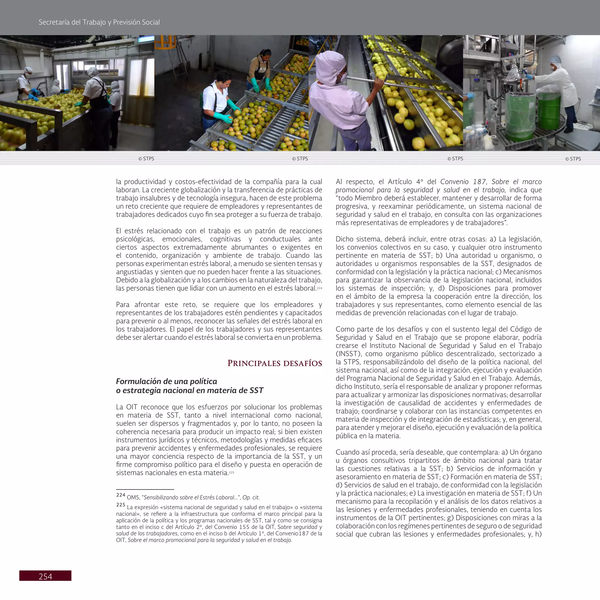 Secretaría del Trabajo y Previsión Social
254
Al respecto, el Artículo 4° del Convenio 187, Sobre el marco
promocional para la seguridad y salud en el trabajo, indica que
“todo Miembro deberá establecer, mantener y desarrollar de forma
progresiva, y reexaminar periódicamente, un sistema nacional de
seguridad y salud en el trabajo, en consulta con las organizaciones
más representativas de empleadores y de trabajadores”.
Dicho sistema, deberá incluir, entre otras cosas: a) La legislación,
los convenios colectivos en su caso, y cualquier otro instrumento
pertinente en materia de SST; b) Una autoridad u organismo, o
autoridades u organismos responsables de la SST, designados de
conformidad con la legislación y la práctica nacional; c) Mecanismos
para garantizar la observancia de la legislación nacional, incluidos
los sistemas de inspección; y, d) Disposiciones para promover
en el ámbito de la empresa la cooperación entre la dirección, los
trabajadores y sus representantes, como elemento esencial de las
medidas de prevención relacionadas con el lugar de trabajo.
Como parte de los desafíos y con el sustento legal del Código de
Seguridad y Salud en el Trabajo que se propone elaborar, podría
crearse el Instituto Nacional de Seguridad y Salud en el Trabajo
(INSST), como organismo público descentralizado, sectorizado a
la STPS, responsabilizándolo del diseño de la política nacional, del
sistema nacional, así como de la integración, ejecución y evaluación
del Programa Nacional de Seguridad y Salud en el Trabajo. Además,
dicho Instituto, sería el responsable de analizar y proponer reformas
para actualizar y armonizar las disposiciones normativas; desarrollar
la investigación de causalidad de accidentes y enfermedades de
trabajo; coordinarse y colaborar con las instancias competentes en
materia de inspección y de integración de estadísticas; y, en general,
para atender y mejorar el diseño, ejecución y evaluación de la política
pública en la materia.
Cuando así proceda, sería deseable, que contemplara: a) Un órgano
u órganos consultivos tripartitos de ámbito nacional para tratar
las cuestiones relativas a la SST; b) Servicios de información y
asesoramiento en materia de SST; c) Formación en materia de SST;
d) Servicios de salud en el trabajo, de conformidad con la legislación
y la práctica nacionales; e) La investigación en materia de SST; f) Un
mecanismo para la recopilación y el análisis de los datos relativos a
las lesiones y enfermedades profesionales, teniendo en cuenta los
instrumentos de la OIT pertinentes; g) Disposiciones con miras a la
colaboración con los regímenes pertinentes de seguro o de seguridad
social que cubran las lesiones y enfermedades profesionales; y, h)
la productividad y costos-efectividad de la compañía para la cual
laboran. La creciente globalización y la transferencia de prácticas de
trabajo insalubres y de tecnología insegura, hacen de este problema
un reto creciente que requiere de empleadores y representantes de
trabajadores dedicados cuyo fin sea proteger a su fuerza de trabajo.
El estrés relacionado con el trabajo es un patrón de reacciones
psicológicas, emocionales, cognitivas y conductuales ante
ciertos aspectos extremadamente abrumantes o exigentes en
el contenido, organización y ambiente de trabajo. Cuando las
personas experimentan estrés laboral, a menudo se sienten tensas y
angustiadas y sienten que no pueden hacer frente a las situaciones.
Debido a la globalización y a los cambios en la naturaleza del trabajo,
las personas tienen que lidiar con un aumento en el estrés laboral.224
Para afrontar este reto, se requiere que los empleadores y
representantes de los trabajadores estén pendientes y capacitados
para prevenir o al menos, reconocer las señales del estrés laboral en
los trabajadores. El papel de los trabajadores y sus representantes
debe ser alertar cuando el estrés laboral se convierta en un problema.
Principales desafíos
Formulación de una política
o estrategia nacional en materia de SST
La OIT reconoce que los esfuerzos por solucionar los problemas
en materia de SST, tanto a nivel internacional como nacional,
suelen ser dispersos y fragmentados y, por lo tanto, no poseen la
coherencia necesaria para producir un impacto real; si bien existen
instrumentos jurídicos y técnicos, metodologías y medidas eficaces
para prevenir accidentes y enfermedades profesionales, se requiere
una mayor conciencia respecto de la importancia de la SST, y un
firme compromiso político para el diseño y puesta en operación de
sistemas nacionales en esta materia.225
224
OMS, "Sensibilizando sobre el Estrés Laboral...", Op. cit.
225
La expresión «sistema nacional de seguridad y salud en el trabajo» o «sistema
nacional», se refiere a la infraestructura que conforma el marco principal para la
aplicación de la política y los programas nacionales de SST, tal y como se consigna
tanto en el inciso c del Artículo 2°, del Convenio 155 de la OIT, Sobre seguridad y
salud de los trabajadores, como en el inciso b del Artículo 1°, del Convenio187 de la
OIT, Sobre el marco promocional para la seguridad y salud en el trabajo.
© STPS © STPS © STPS © STPS
 