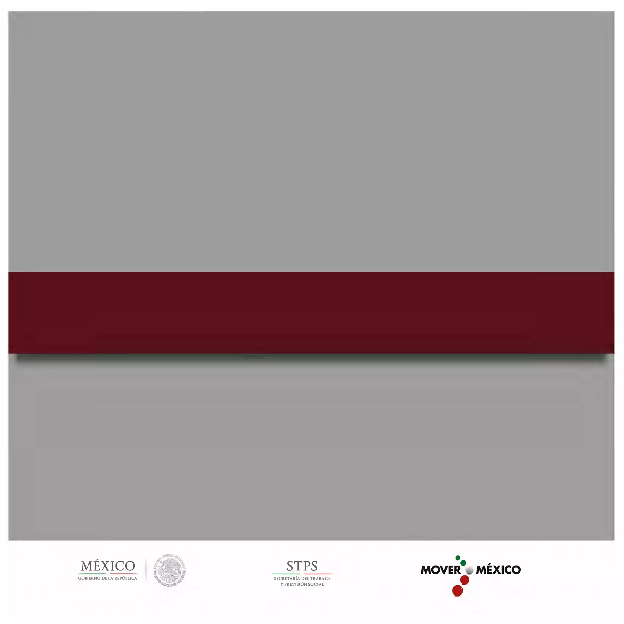 MÉXICO
GOBIERNO DE LA REPÚBLICA
STPS
SECRETARIA DEL TRABAJO
Y PREVISIÓN SOCIAL
•
MOVER• MÉXICO
-·
 