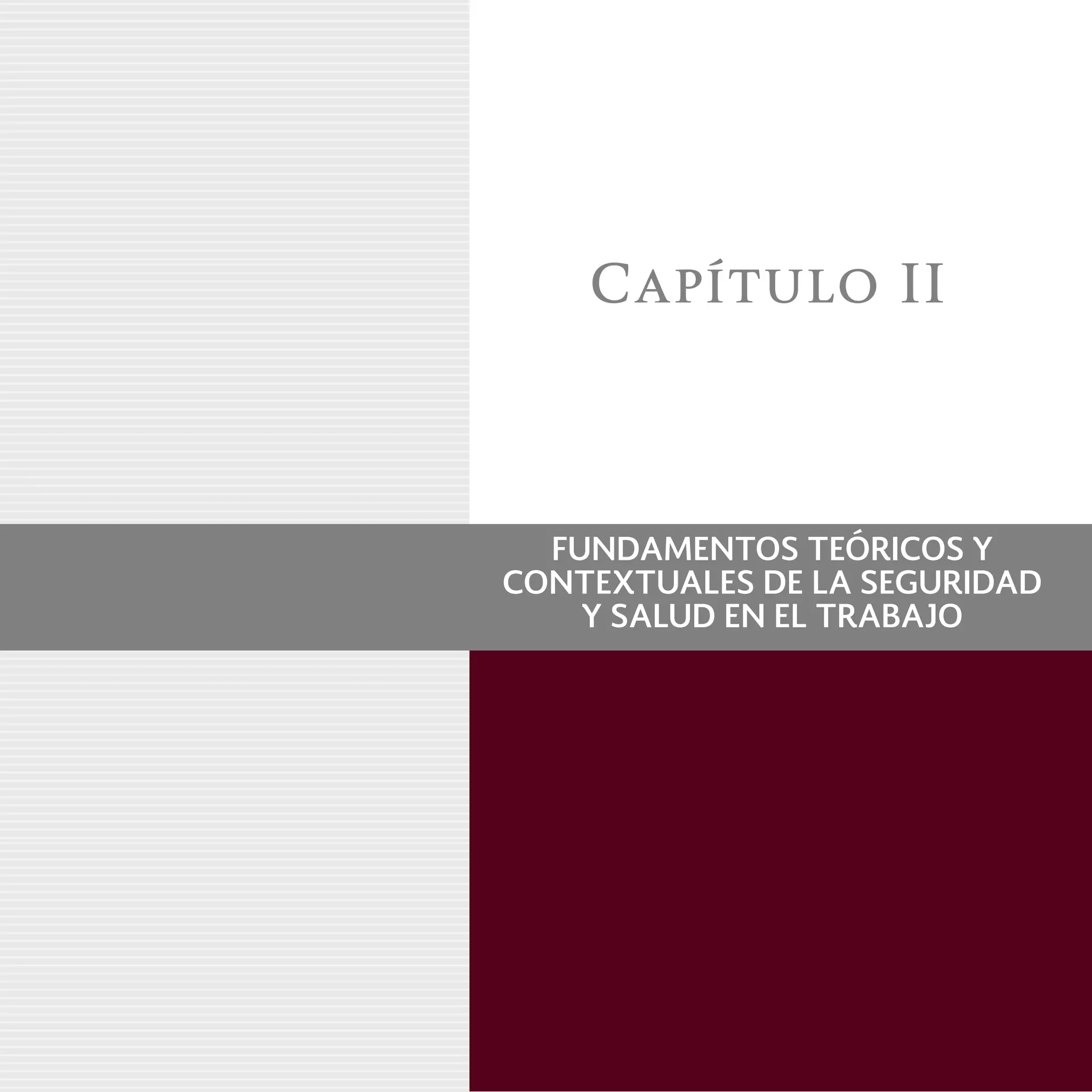 Capítulo II
FUNDAMENTOS TEÓRICOS Y
CONTEXTUALES DE LA SEGURIDAD
Y SALUD EN EL TRABAJO
 