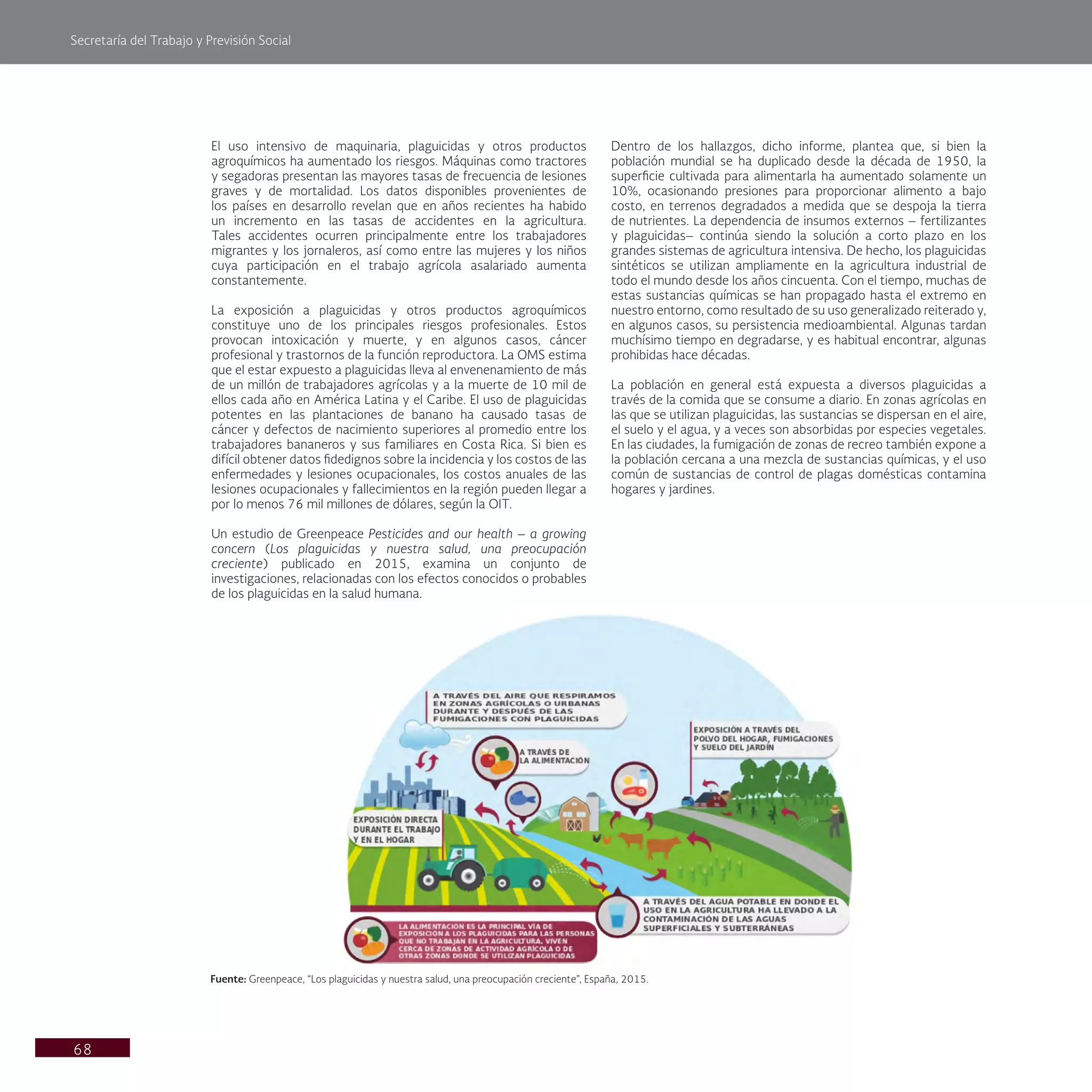Secretaría del Trabajo y Previsión Social
68
Dentro de los hallazgos, dicho informe, plantea que, si bien la
población mundial se ha duplicado desde la década de 1950, la
superficie cultivada para alimentarla ha aumentado solamente un
10%, ocasionando presiones para proporcionar alimento a bajo
costo, en terrenos degradados a medida que se despoja la tierra
de nutrientes. La dependencia de insumos externos – fertilizantes
y plaguicidas– continúa siendo la solución a corto plazo en los
grandes sistemas de agricultura intensiva. De hecho, los plaguicidas
sintéticos se utilizan ampliamente en la agricultura industrial de
todo el mundo desde los años cincuenta. Con el tiempo, muchas de
estas sustancias químicas se han propagado hasta el extremo en
nuestro entorno, como resultado de su uso generalizado reiterado y,
en algunos casos, su persistencia medioambiental. Algunas tardan
muchísimo tiempo en degradarse, y es habitual encontrar, algunas
prohibidas hace décadas.
La población en general está expuesta a diversos plaguicidas a
través de la comida que se consume a diario. En zonas agrícolas en
las que se utilizan plaguicidas, las sustancias se dispersan en el aire,
el suelo y el agua, y a veces son absorbidas por especies vegetales.
En las ciudades, la fumigación de zonas de recreo también expone a
la población cercana a una mezcla de sustancias químicas, y el uso
común de sustancias de control de plagas domésticas contamina
hogares y jardines.
El uso intensivo de maquinaria, plaguicidas y otros productos
agroquímicos ha aumentado los riesgos. Máquinas como tractores
y segadoras presentan las mayores tasas de frecuencia de lesiones
graves y de mortalidad. Los datos disponibles provenientes de
los países en desarrollo revelan que en años recientes ha habido
un incremento en las tasas de accidentes en la agricultura.
Tales accidentes ocurren principalmente entre los trabajadores
migrantes y los jornaleros, así como entre las mujeres y los niños
cuya participación en el trabajo agrícola asalariado aumenta
constantemente.
La exposición a plaguicidas y otros productos agroquímicos
constituye uno de los principales riesgos profesionales. Estos
provocan intoxicación y muerte, y en algunos casos, cáncer
profesional y trastornos de la función reproductora. La OMS estima
que el estar expuesto a plaguicidas lleva al envenenamiento de más
de un millón de trabajadores agrícolas y a la muerte de 10 mil de
ellos cada año en América Latina y el Caribe. El uso de plaguicidas
potentes en las plantaciones de banano ha causado tasas de
cáncer y defectos de nacimiento superiores al promedio entre los
trabajadores bananeros y sus familiares en Costa Rica. Si bien es
difícil obtener datos fidedignos sobre la incidencia y los costos de las
enfermedades y lesiones ocupacionales, los costos anuales de las
lesiones ocupacionales y fallecimientos en la región pueden llegar a
por lo menos 76 mil millones de dólares, según la OIT.
Un estudio de Greenpeace Pesticides and our health – a growing
concern (Los plaguicidas y nuestra salud, una preocupación
creciente) publicado en 2015, examina un conjunto de
investigaciones, relacionadas con los efectos conocidos o probables
de los plaguicidas en la salud humana.
Fuente: Greenpeace, “Los plaguicidas y nuestra salud, una preocupación creciente”, España, 2015.
 
