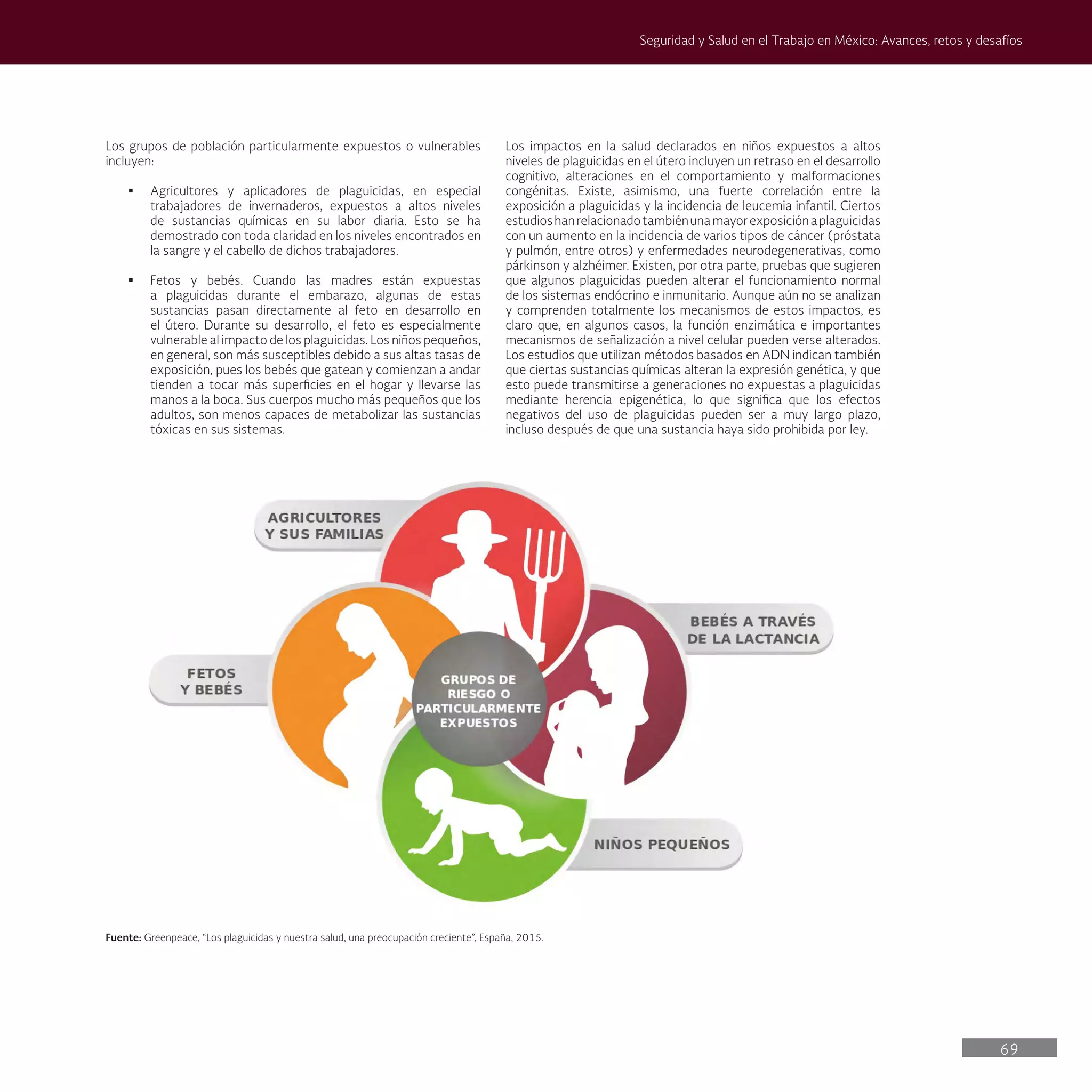 69
Seguridad y Salud en el Trabajo en México: Avances, retos y desafíos
Los impactos en la salud declarados en niños expuestos a altos
niveles de plaguicidas en el útero incluyen un retraso en el desarrollo
cognitivo, alteraciones en el comportamiento y malformaciones
congénitas. Existe, asimismo, una fuerte correlación entre la
exposición a plaguicidas y la incidencia de leucemia infantil. Ciertos
estudioshanrelacionadotambiénunamayorexposiciónaplaguicidas
con un aumento en la incidencia de varios tipos de cáncer (próstata
y pulmón, entre otros) y enfermedades neurodegenerativas, como
párkinson y alzhéimer. Existen, por otra parte, pruebas que sugieren
que algunos plaguicidas pueden alterar el funcionamiento normal
de los sistemas endócrino e inmunitario. Aunque aún no se analizan
y comprenden totalmente los mecanismos de estos impactos, es
claro que, en algunos casos, la función enzimática e importantes
mecanismos de señalización a nivel celular pueden verse alterados.
Los estudios que utilizan métodos basados en ADN indican también
que ciertas sustancias químicas alteran la expresión genética, y que
esto puede transmitirse a generaciones no expuestas a plaguicidas
mediante herencia epigenética, lo que significa que los efectos
negativos del uso de plaguicidas pueden ser a muy largo plazo,
incluso después de que una sustancia haya sido prohibida por ley.
Los grupos de población particularmente expuestos o vulnerables
incluyen:
§ Agricultores y aplicadores de plaguicidas, en especial
trabajadores de invernaderos, expuestos a altos niveles
de sustancias químicas en su labor diaria. Esto se ha
demostrado con toda claridad en los niveles encontrados en
la sangre y el cabello de dichos trabajadores.
§ Fetos y bebés. Cuando las madres están expuestas
a plaguicidas durante el embarazo, algunas de estas
sustancias pasan directamente al feto en desarrollo en
el útero. Durante su desarrollo, el feto es especialmente
vulnerable al impacto de los plaguicidas. Los niños pequeños,
en general, son más susceptibles debido a sus altas tasas de
exposición, pues los bebés que gatean y comienzan a andar
tienden a tocar más superficies en el hogar y llevarse las
manos a la boca. Sus cuerpos mucho más pequeños que los
adultos, son menos capaces de metabolizar las sustancias
tóxicas en sus sistemas.
Fuente: Greenpeace, “Los plaguicidas y nuestra salud, una preocupación creciente”, España, 2015.
 