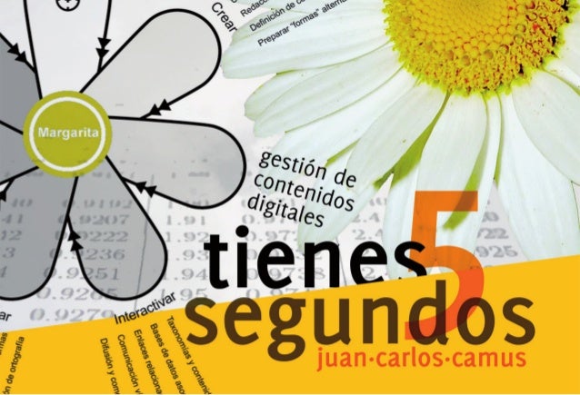 Imagen relacionada