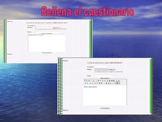 Rellena el cuestionario   