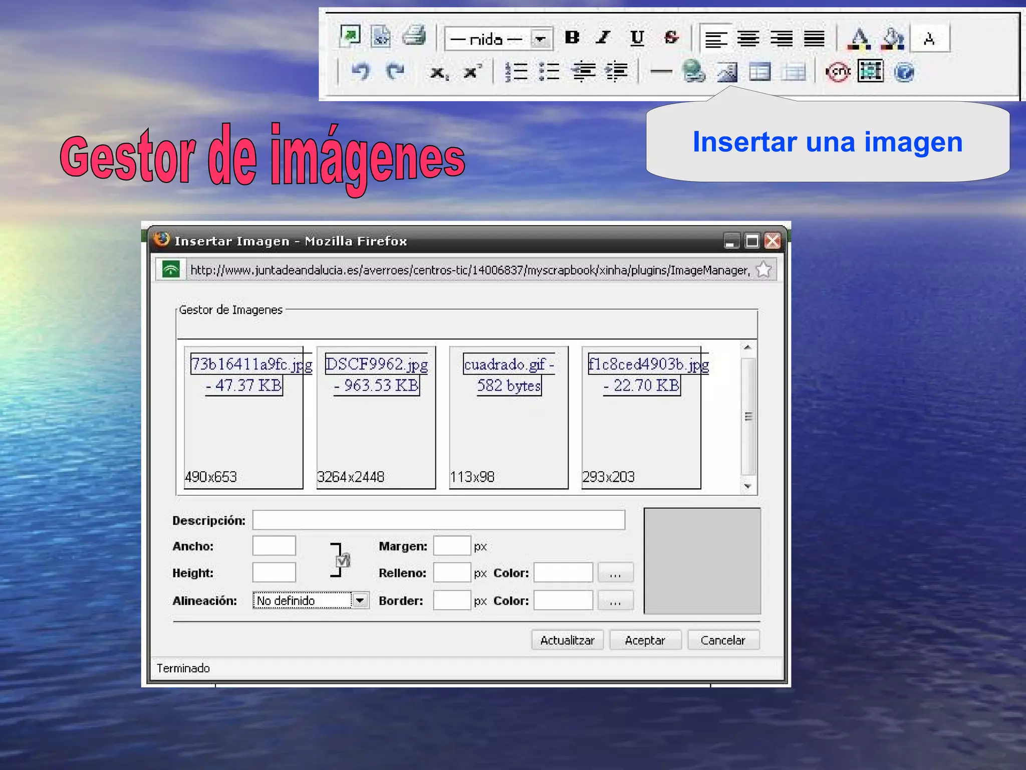 Insertar una imagen Gestor de imágenes 
