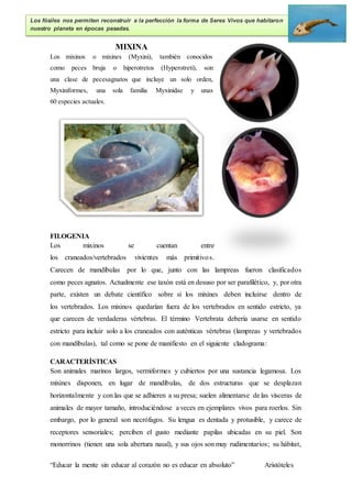 Libro zoología | DOCX