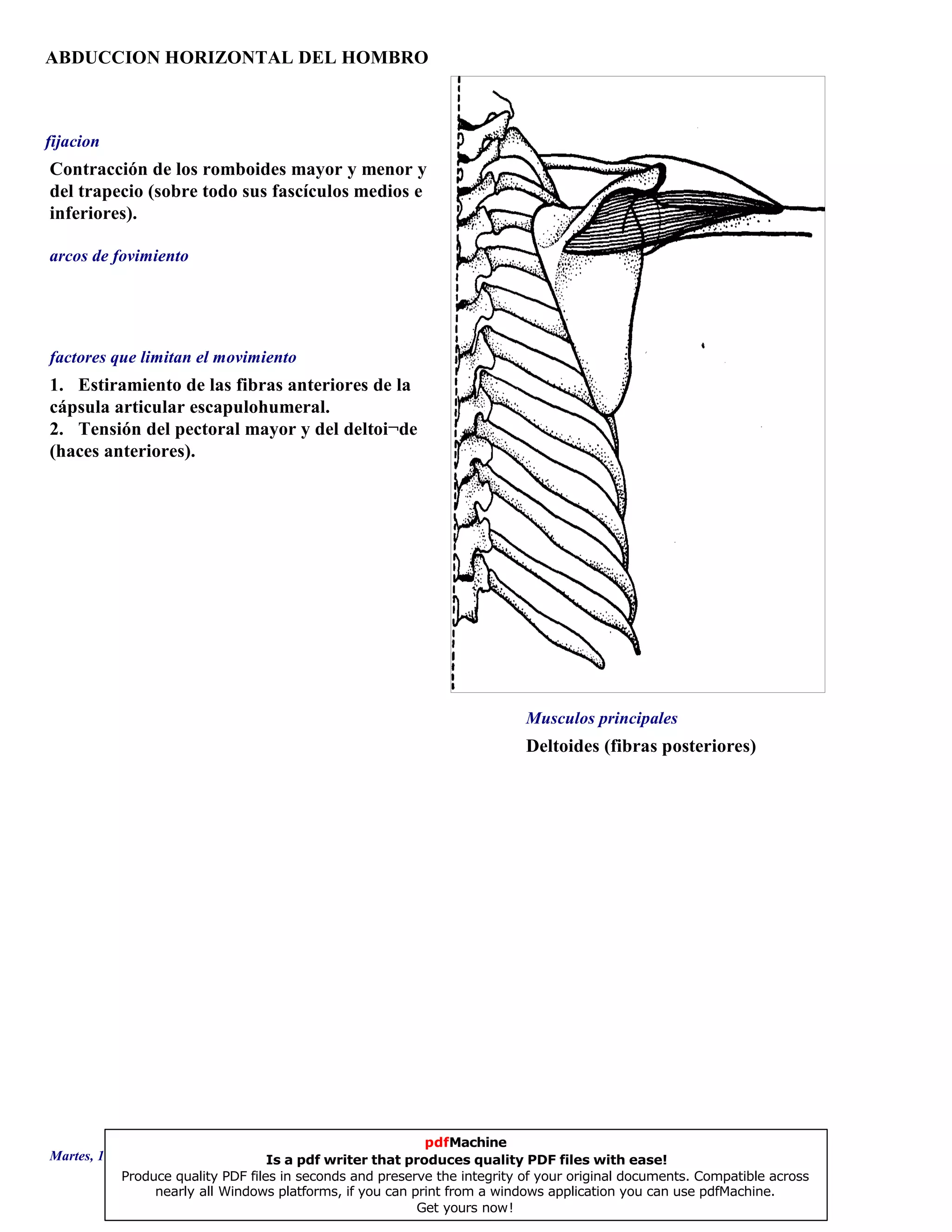 ABDUCCION HORIZONTAL DEL HOMBRO
Deltoides (fibras posteriores)
1. Estiramiento de las fibras anteriores de la
cápsula articular escapulohumeral.
2. Tensión del pectoral mayor y del deltoi¬des
(haces anteriores).
Contracción de los romboides mayor y menor y
del trapecio (sobre todo sus fascículos medios e
inferiores).
Musculos principales
arcos de fovimiento
factores que limitan el movimiento
fijacion
Martes, 18 de Septiembre de 2007 Página 83 de 135
pdfMachine
Is a pdf writer that produces quality PDF files with ease!
Produce quality PDF files in seconds and preserve the integrity of your original documents. Compatible across
nearly all Windows platforms, if you can print from a windows application you can use pdfMachine.
Get yours now!
 