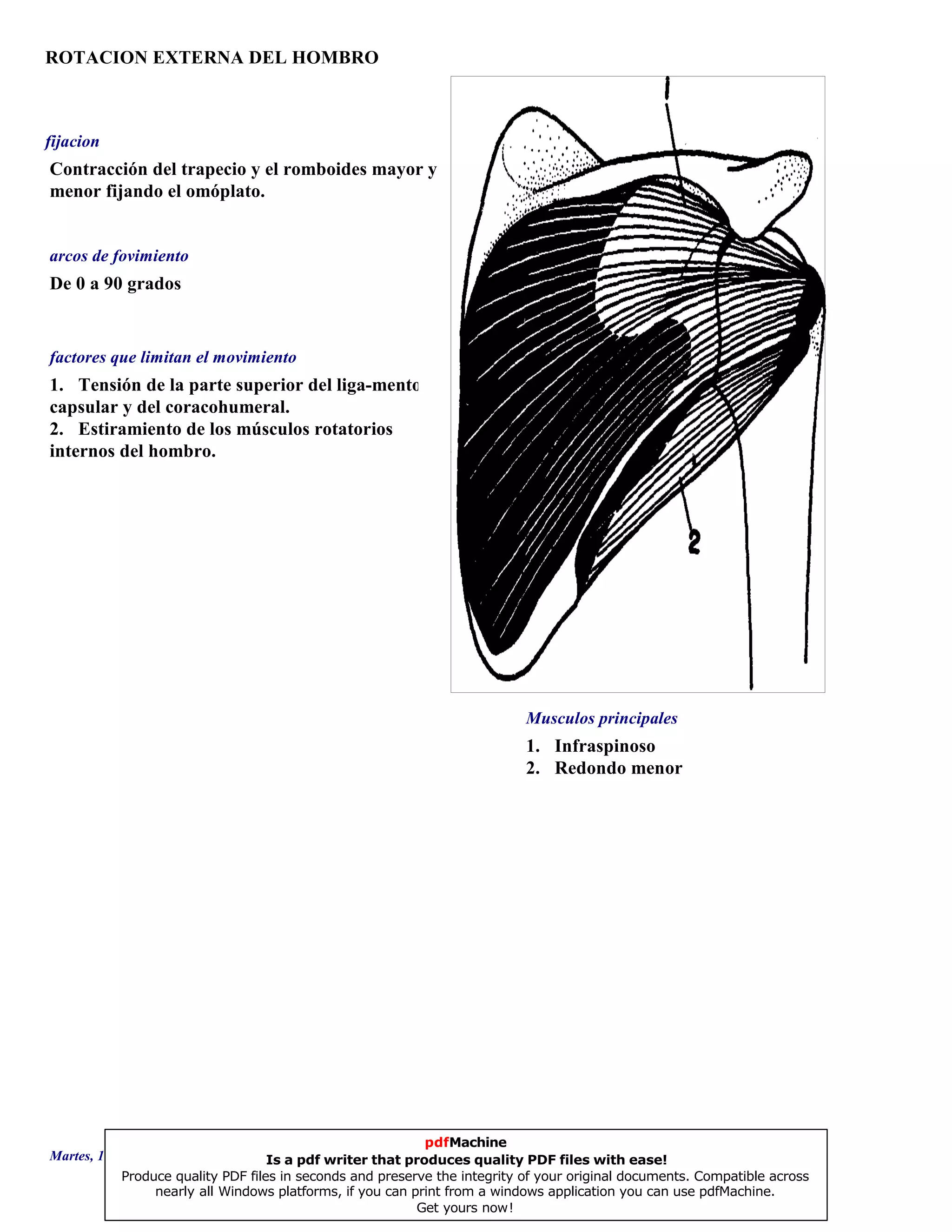 ROTACION EXTERNA DEL HOMBRO
1. Infraspinoso
2. Redondo menor
De 0 a 90 grados
1. Tensión de la parte superior del liga-mento
capsular y del coracohumeral.
2. Estiramiento de los músculos rotatorios
internos del hombro.
Contracción del trapecio y el romboides mayor y
menor fijando el omóplato.
Musculos principales
arcos de fovimiento
factores que limitan el movimiento
fijacion
Martes, 18 de Septiembre de 2007 Página 89 de 135
pdfMachine
Is a pdf writer that produces quality PDF files with ease!
Produce quality PDF files in seconds and preserve the integrity of your original documents. Compatible across
nearly all Windows platforms, if you can print from a windows application you can use pdfMachine.
Get yours now!
 