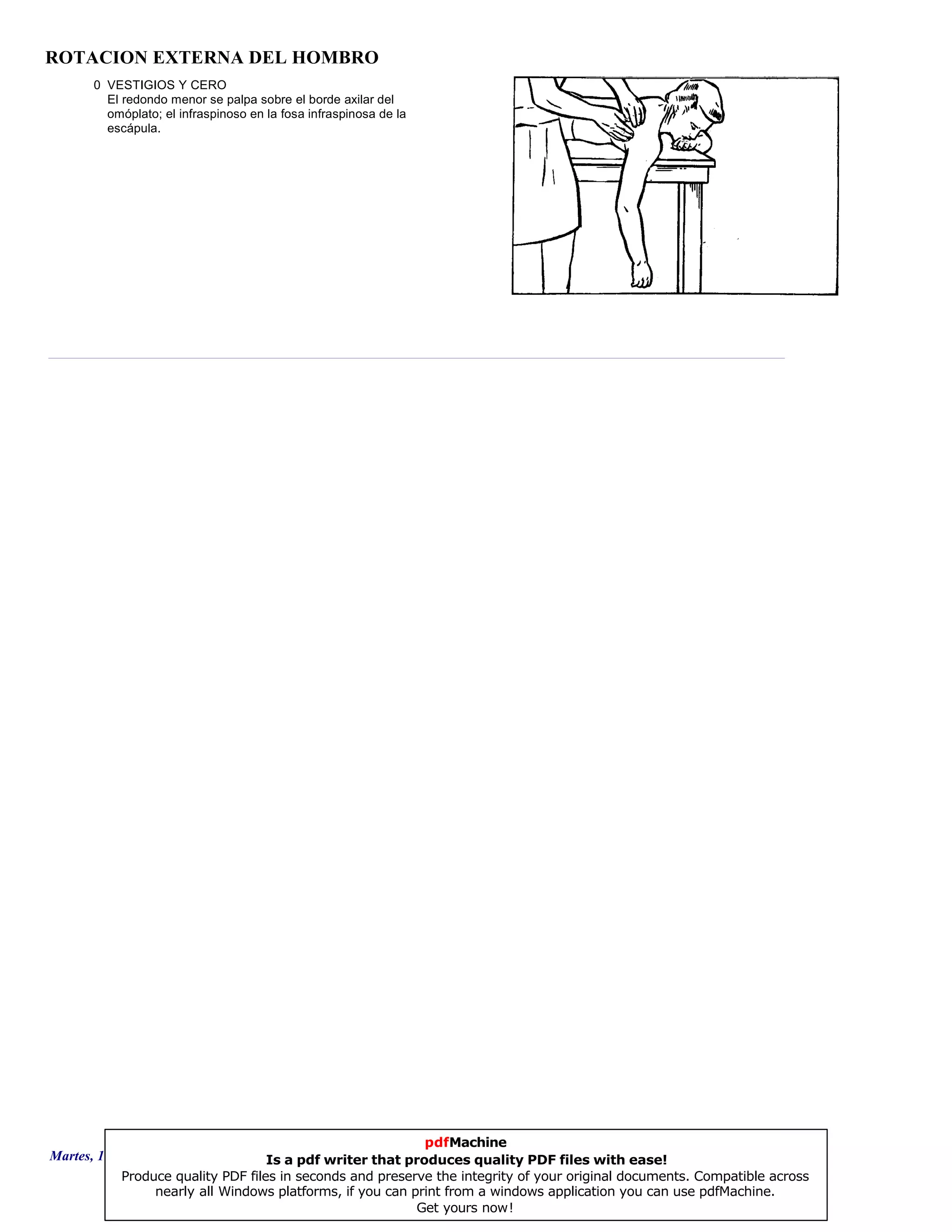 ROTACION EXTERNA DEL HOMBRO
0 VESTIGIOS Y CERO
El redondo menor se palpa sobre el borde axilar del
omóplato; el infraspinoso en la fosa infraspinosa de la
escápula.
Martes, 18 de Septiembre de 2007 Página 91 de 135
pdfMachine
Is a pdf writer that produces quality PDF files with ease!
Produce quality PDF files in seconds and preserve the integrity of your original documents. Compatible across
nearly all Windows platforms, if you can print from a windows application you can use pdfMachine.
Get yours now!
 
