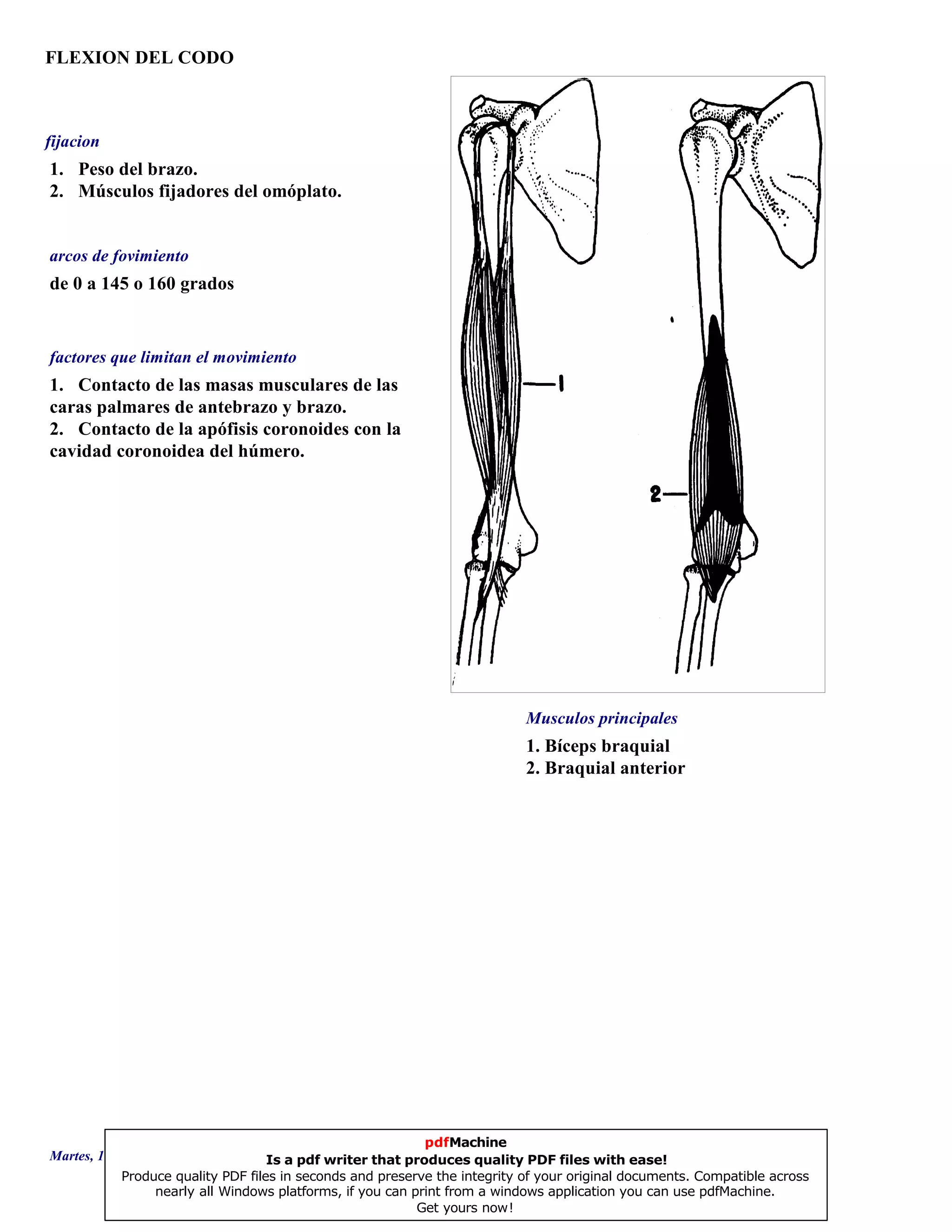 FLEXION DEL CODO
1. Bíceps braquial
2. Braquial anterior
de 0 a 145 o 160 grados
1. Contacto de las masas musculares de las
caras palmares de antebrazo y brazo.
2. Contacto de la apófisis coronoides con la
cavidad coronoidea del húmero.
1. Peso del brazo.
2. Músculos fijadores del omóplato.
Musculos principales
arcos de fovimiento
factores que limitan el movimiento
fijacion
Martes, 18 de Septiembre de 2007 Página 95 de 135
pdfMachine
Is a pdf writer that produces quality PDF files with ease!
Produce quality PDF files in seconds and preserve the integrity of your original documents. Compatible across
nearly all Windows platforms, if you can print from a windows application you can use pdfMachine.
Get yours now!
 