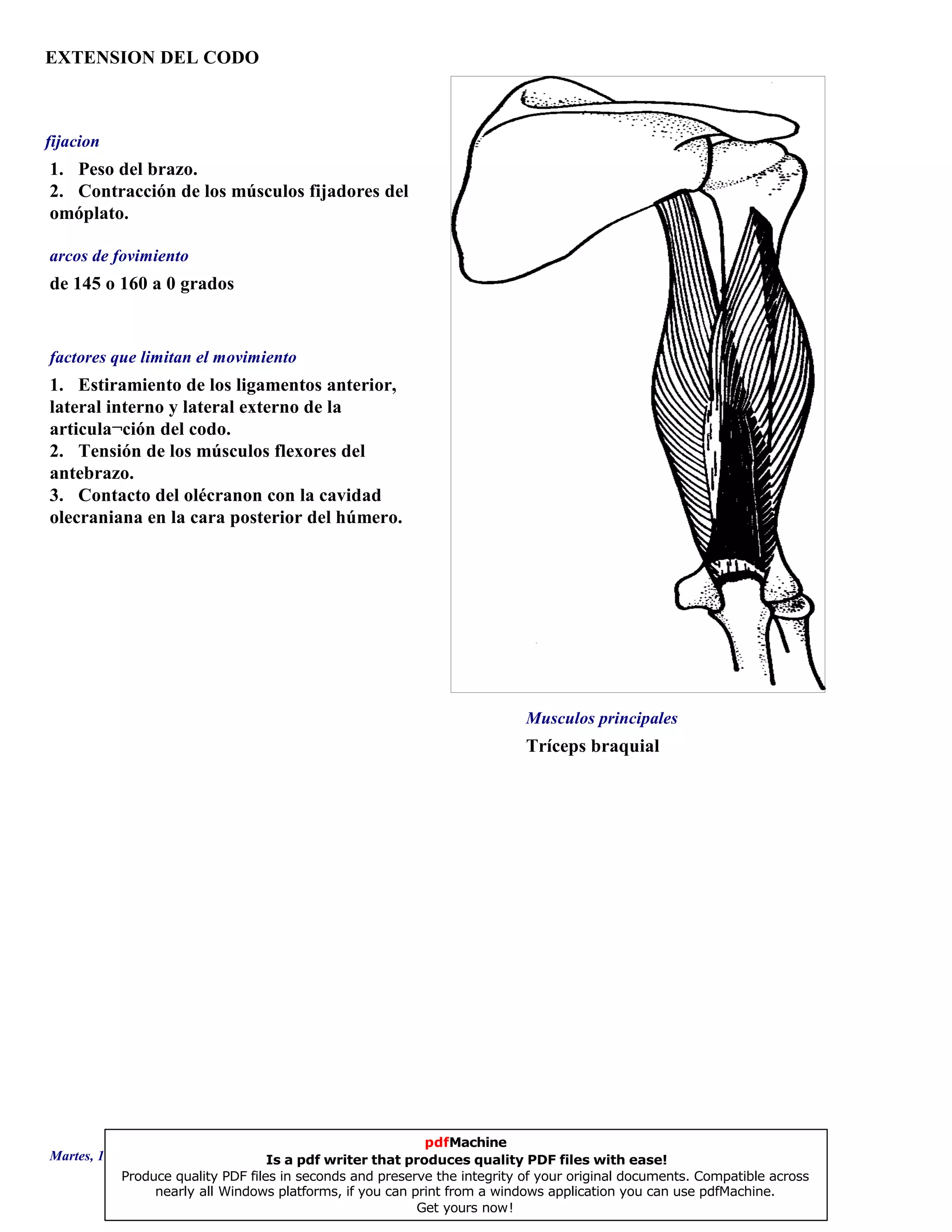 EXTENSION DEL CODO
Tríceps braquial
de 145 o 160 a 0 grados
1. Estiramiento de los ligamentos anterior,
lateral interno y lateral externo de la
articula¬ción del codo.
2. Tensión de los músculos flexores del
antebrazo.
3. Contacto del olécranon con la cavidad
olecraniana en la cara posterior del húmero.
1. Peso del brazo.
2. Contracción de los músculos fijadores del
omóplato.
Musculos principales
arcos de fovimiento
factores que limitan el movimiento
fijacion
Martes, 18 de Septiembre de 2007 Página 98 de 135
pdfMachine
Is a pdf writer that produces quality PDF files with ease!
Produce quality PDF files in seconds and preserve the integrity of your original documents. Compatible across
nearly all Windows platforms, if you can print from a windows application you can use pdfMachine.
Get yours now!
 