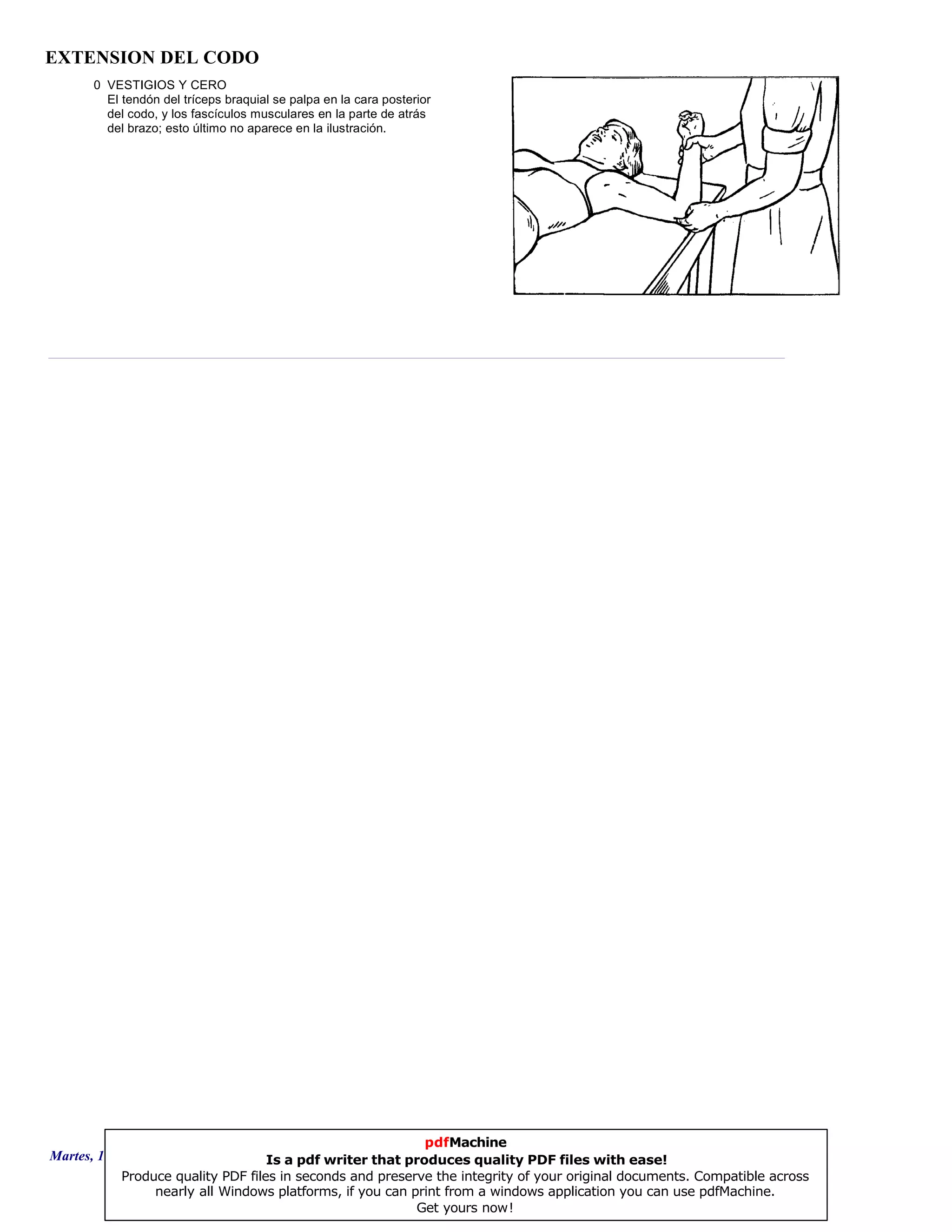 EXTENSION DEL CODO
0 VESTIGIOS Y CERO
El tendón del tríceps braquial se palpa en la cara posterior
del codo, y los fascículos musculares en la parte de atrás
del brazo; esto último no aparece en la ilustración.
Martes, 18 de Septiembre de 2007 Página 100 de 135
pdfMachine
Is a pdf writer that produces quality PDF files with ease!
Produce quality PDF files in seconds and preserve the integrity of your original documents. Compatible across
nearly all Windows platforms, if you can print from a windows application you can use pdfMachine.
Get yours now!
 
