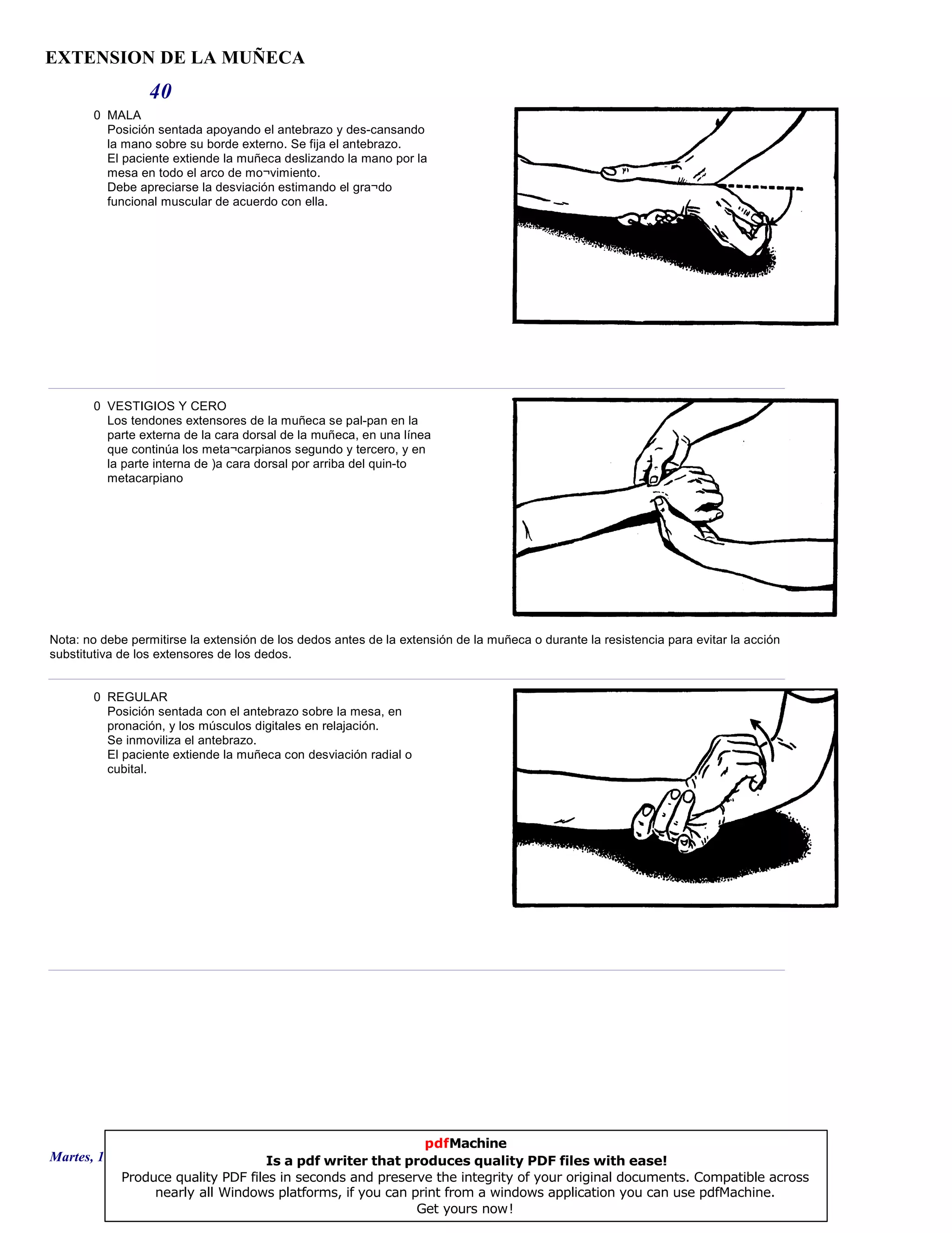 EXTENSION DE LA MUÑECA
40
0 MALA
Posición sentada apoyando el antebrazo y des-cansando
la mano sobre su borde externo. Se fija el antebrazo.
El paciente extiende la muñeca deslizando la mano por la
mesa en todo el arco de mo¬vimiento.
Debe apreciarse la desviación estimando el gra¬do
funcional muscular de acuerdo con ella.
0 VESTIGIOS Y CERO
Los tendones extensores de la muñeca se pal-pan en la
parte externa de la cara dorsal de la muñeca, en una línea
que continúa los meta¬carpianos segundo y tercero, y en
la parte interna de )a cara dorsal por arriba del quin-to
metacarpiano
Nota: no debe permitirse la extensión de los dedos antes de la extensión de la muñeca o durante la resistencia para evitar la acción
substitutiva de los extensores de los dedos.
0 REGULAR
Posición sentada con el antebrazo sobre la mesa, en
pronación, y los músculos digitales en relajación.
Se inmoviliza el antebrazo.
El paciente extiende la muñeca con desviación radial o
cubital.
Martes, 18 de Septiembre de 2007 Página 111 de 135
pdfMachine
Is a pdf writer that produces quality PDF files with ease!
Produce quality PDF files in seconds and preserve the integrity of your original documents. Compatible across
nearly all Windows platforms, if you can print from a windows application you can use pdfMachine.
Get yours now!
 