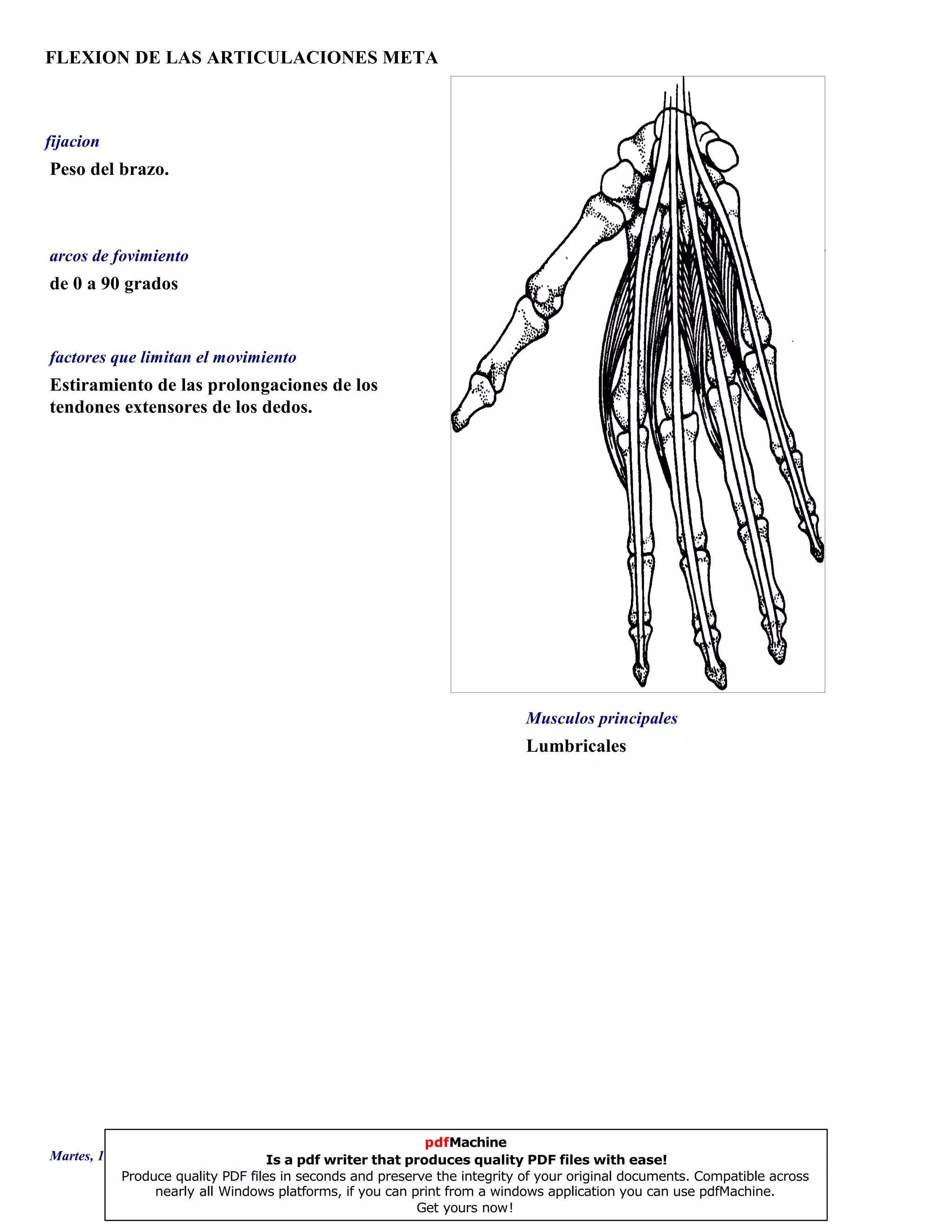 FLEXION DE LAS ARTICULACIONES META
Lumbricales
de 0 a 90 grados
Estiramiento de las prolongaciones de los
tendones extensores de los dedos.
Peso del brazo.
Musculos principales
arcos de fovimiento
factores que limitan el movimiento
fijacion
Martes, 18 de Septiembre de 2007 Página 113 de 135
pdfMachine
Is a pdf writer that produces quality PDF files with ease!
Produce quality PDF files in seconds and preserve the integrity of your original documents. Compatible across
nearly all Windows platforms, if you can print from a windows application you can use pdfMachine.
Get yours now!
 