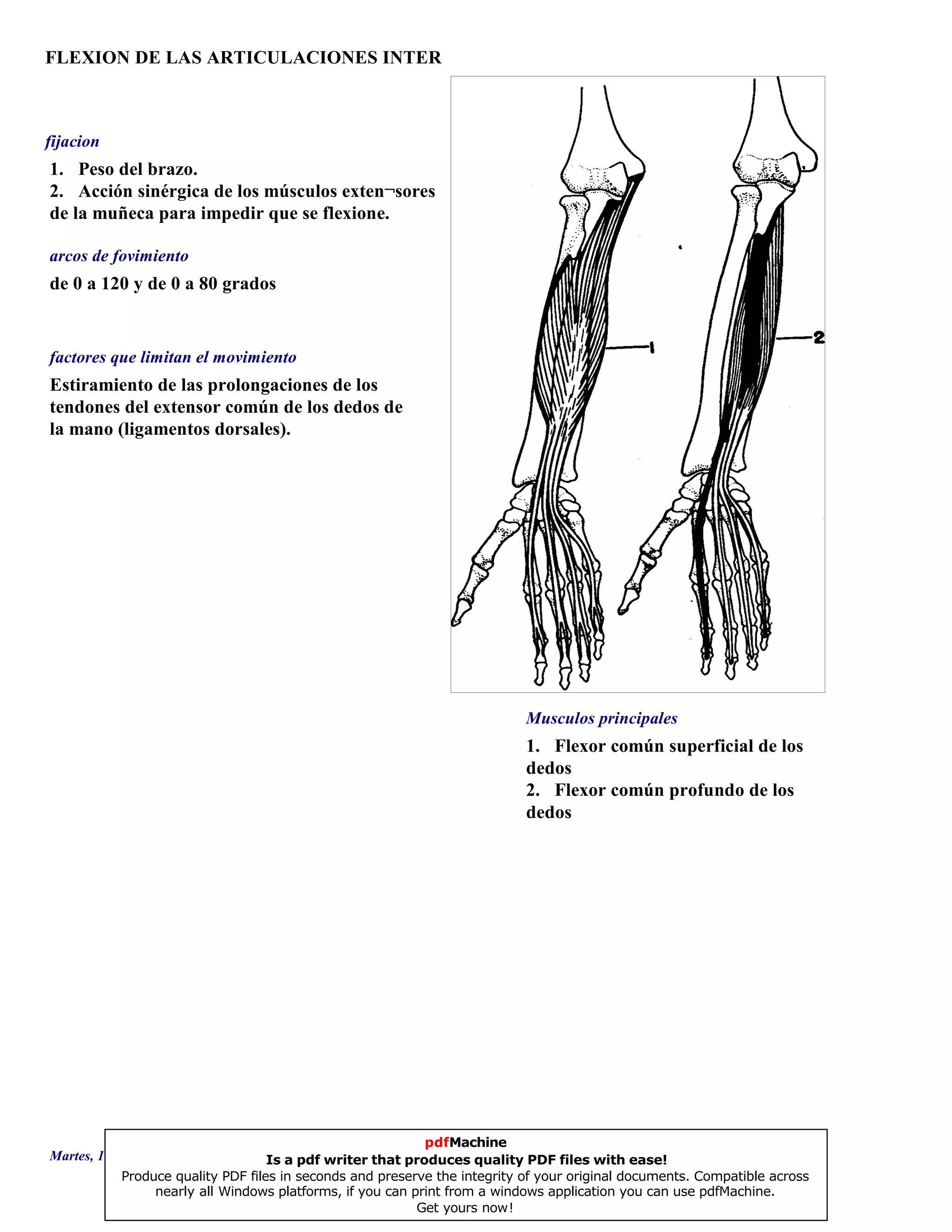 FLEXION DE LAS ARTICULACIONES INTER
1. Flexor común superficial de los
dedos
2. Flexor común profundo de los
dedos
de 0 a 120 y de 0 a 80 grados
Estiramiento de las prolongaciones de los
tendones del extensor común de los dedos de
la mano (ligamentos dorsales).
1. Peso del brazo.
2. Acción sinérgica de los músculos exten¬sores
de la muñeca para impedir que se flexione.
Musculos principales
arcos de fovimiento
factores que limitan el movimiento
fijacion
Martes, 18 de Septiembre de 2007 Página 115 de 135
pdfMachine
Is a pdf writer that produces quality PDF files with ease!
Produce quality PDF files in seconds and preserve the integrity of your original documents. Compatible across
nearly all Windows platforms, if you can print from a windows application you can use pdfMachine.
Get yours now!
 