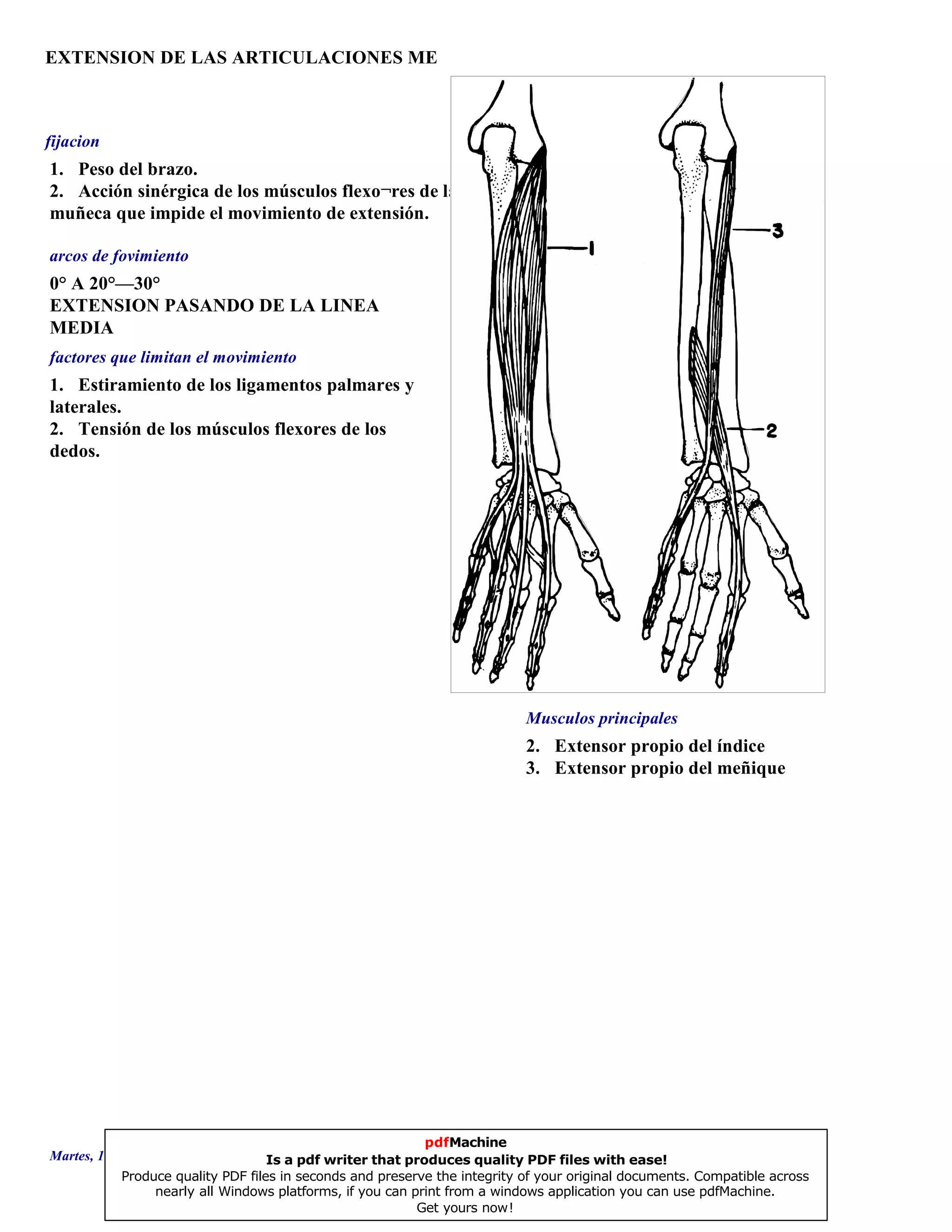 EXTENSION DE LAS ARTICULACIONES ME
2. Extensor propio del índice
3. Extensor propio del meñique
0° A 20°—30°
EXTENSION PASANDO DE LA LINEA
MEDIA
1. Estiramiento de los ligamentos palmares y
laterales.
2. Tensión de los músculos flexores de los
dedos.
1. Peso del brazo.
2. Acción sinérgica de los músculos flexo¬res de la
muñeca que impide el movimiento de extensión.
Musculos principales
arcos de fovimiento
factores que limitan el movimiento
fijacion
Martes, 18 de Septiembre de 2007 Página 119 de 135
pdfMachine
Is a pdf writer that produces quality PDF files with ease!
Produce quality PDF files in seconds and preserve the integrity of your original documents. Compatible across
nearly all Windows platforms, if you can print from a windows application you can use pdfMachine.
Get yours now!
 