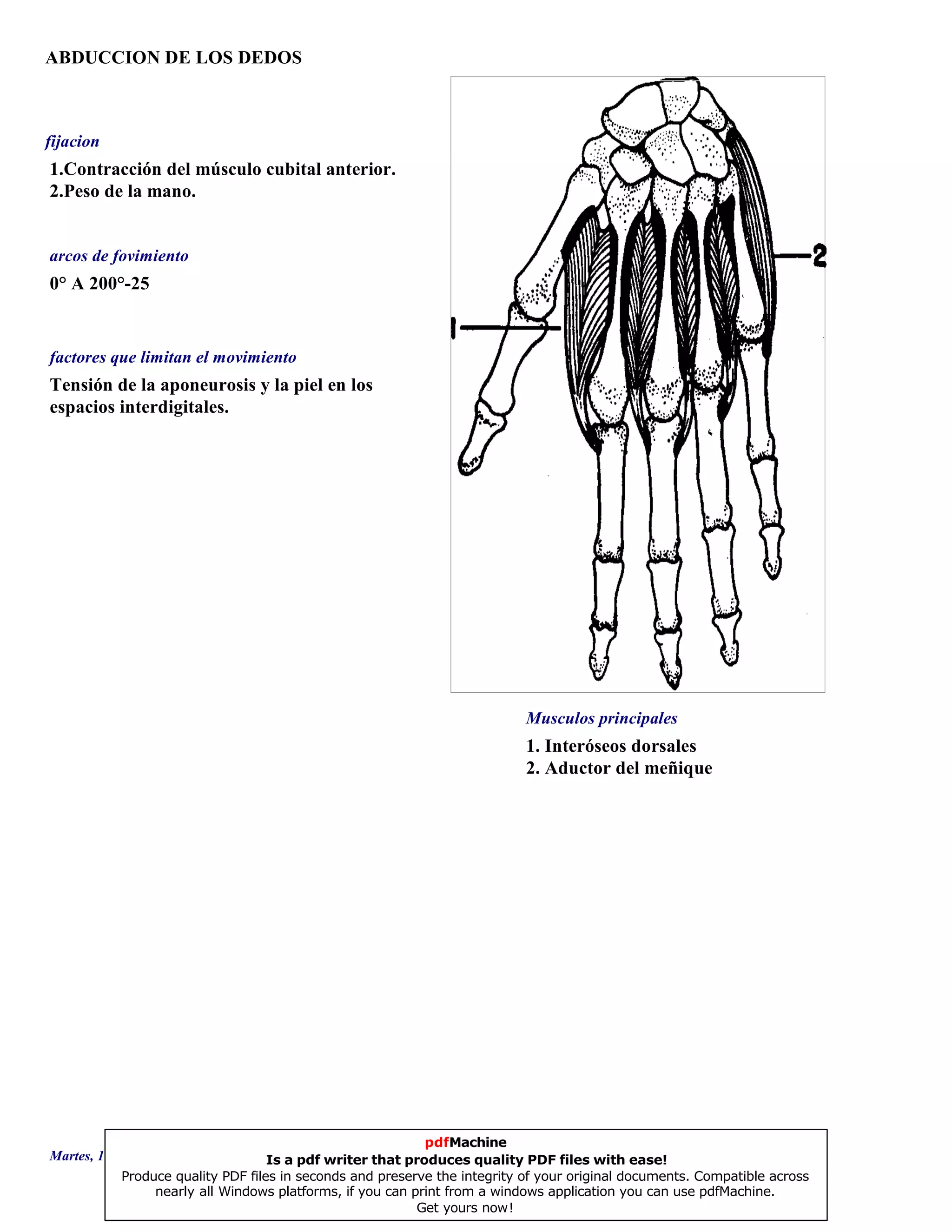 ABDUCCION DE LOS DEDOS
1. Interóseos dorsales
2. Aductor del meñique
0° A 200°-25
Tensión de la aponeurosis y la piel en los
espacios interdigitales.
1.Contracción del músculo cubital anterior.
2.Peso de la mano.
Musculos principales
arcos de fovimiento
factores que limitan el movimiento
fijacion
Martes, 18 de Septiembre de 2007 Página 121 de 135
pdfMachine
Is a pdf writer that produces quality PDF files with ease!
Produce quality PDF files in seconds and preserve the integrity of your original documents. Compatible across
nearly all Windows platforms, if you can print from a windows application you can use pdfMachine.
Get yours now!
 
