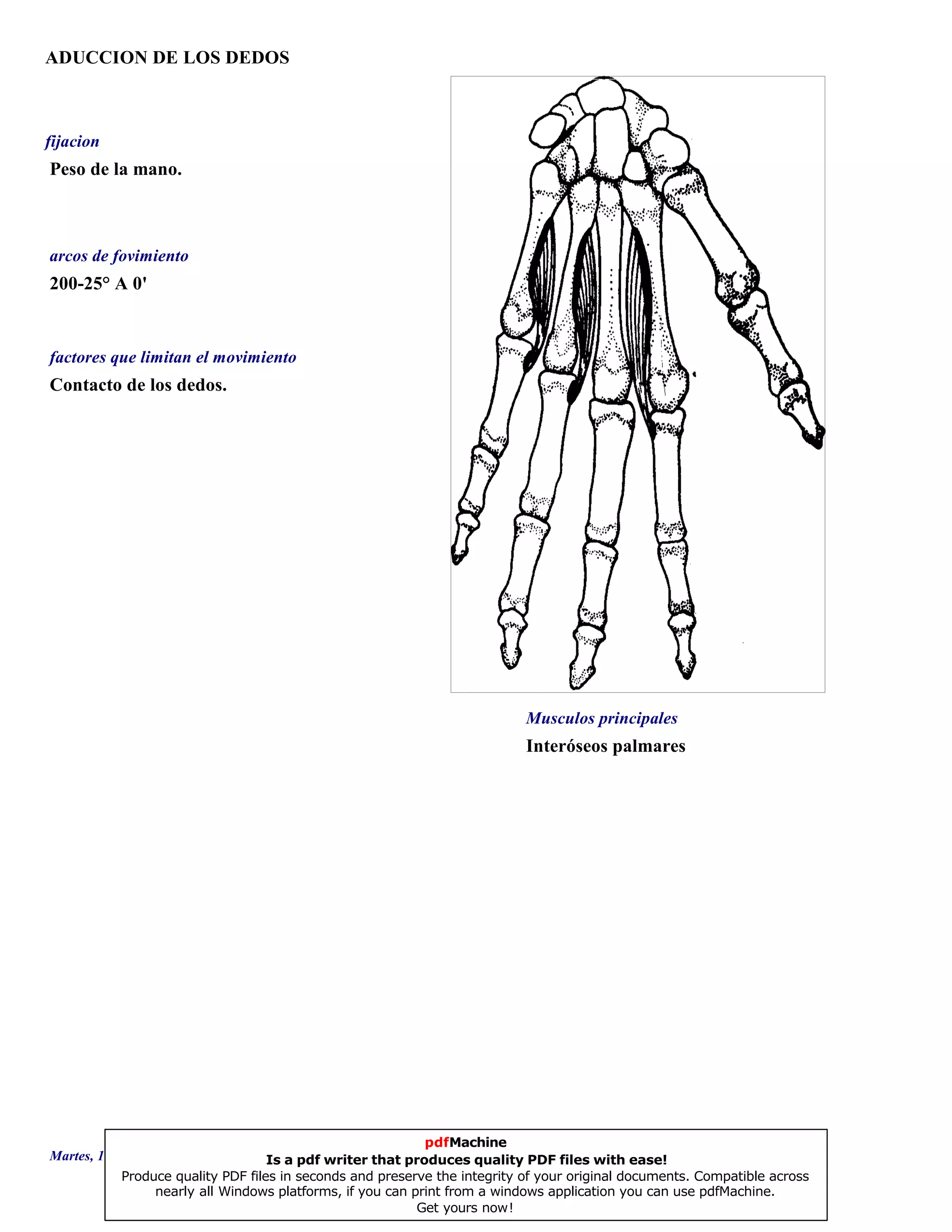 ADUCCION DE LOS DEDOS
Interóseos palmares
200-25° A 0'
Contacto de los dedos.
Peso de la mano.
Musculos principales
arcos de fovimiento
factores que limitan el movimiento
fijacion
Martes, 18 de Septiembre de 2007 Página 124 de 135
pdfMachine
Is a pdf writer that produces quality PDF files with ease!
Produce quality PDF files in seconds and preserve the integrity of your original documents. Compatible across
nearly all Windows platforms, if you can print from a windows application you can use pdfMachine.
Get yours now!
 